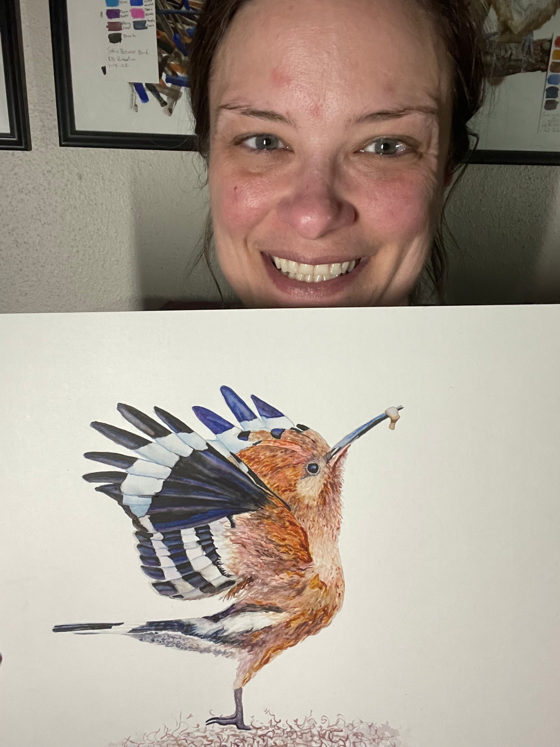 Eurasian Hoopoe - Bird Art by KB