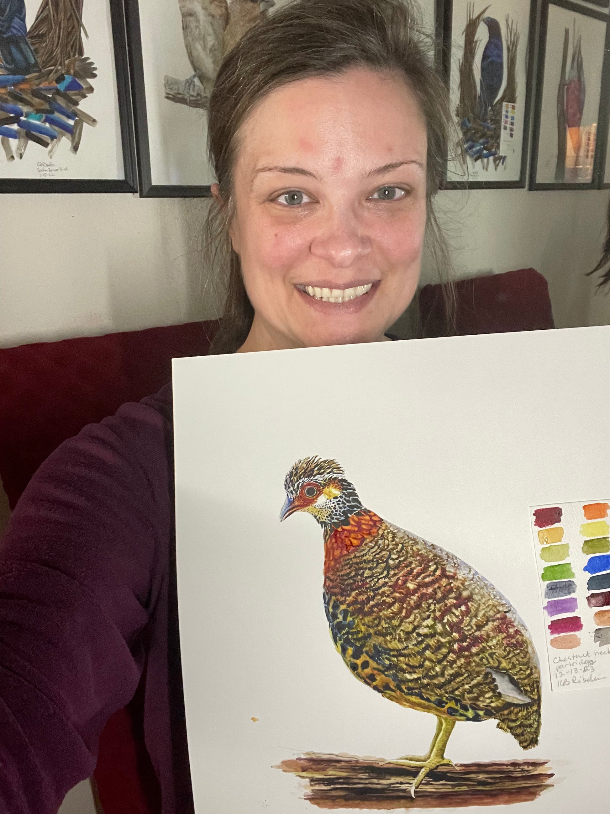 Chestnut-necklaced Partridge - Bird Art by KB
