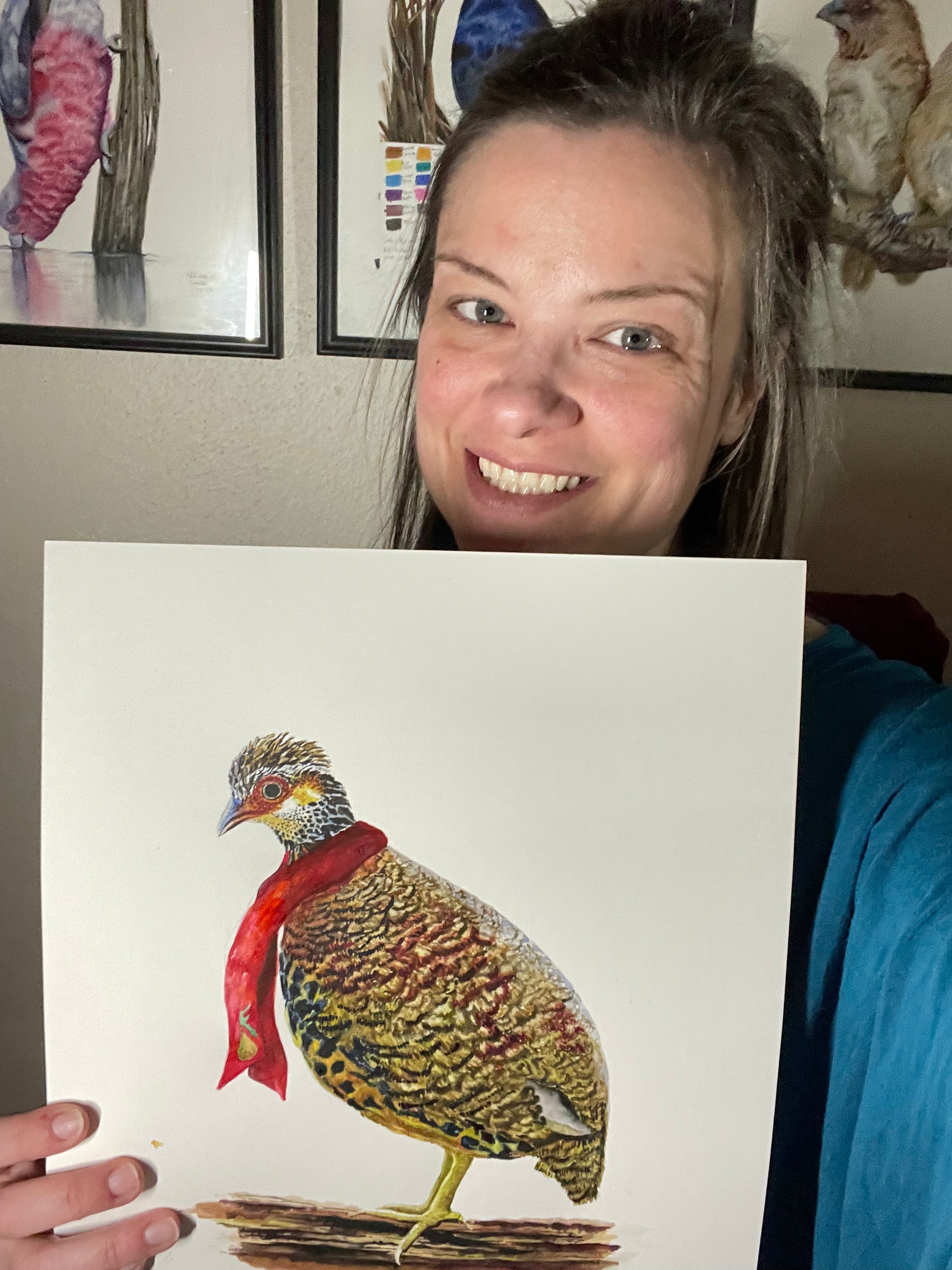 Chestnut-necklaced Partridge (CHRISTMAS EDITION) - Bird Art by KB