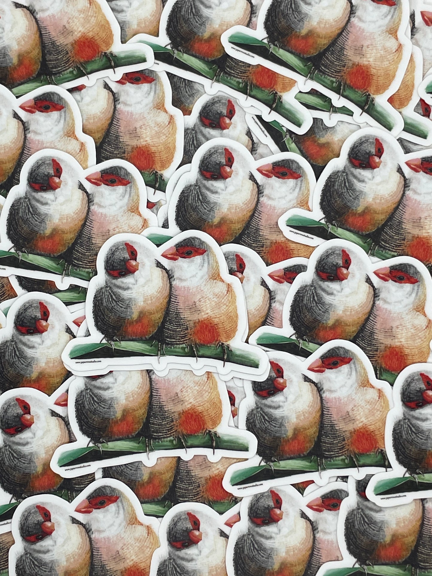 Common Waxbill - Bird Art by KB
