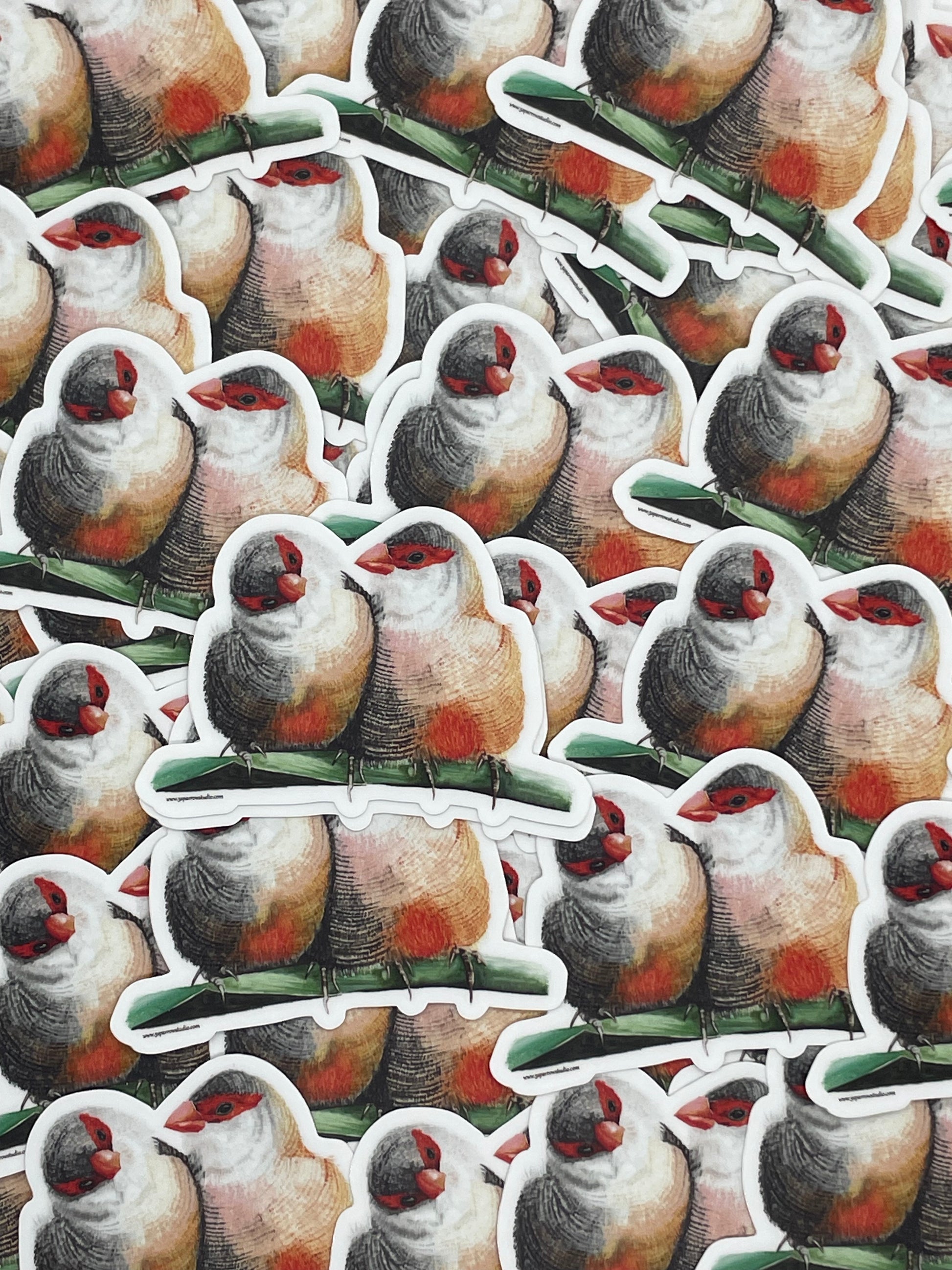 Common Waxbill - Bird Art by KB