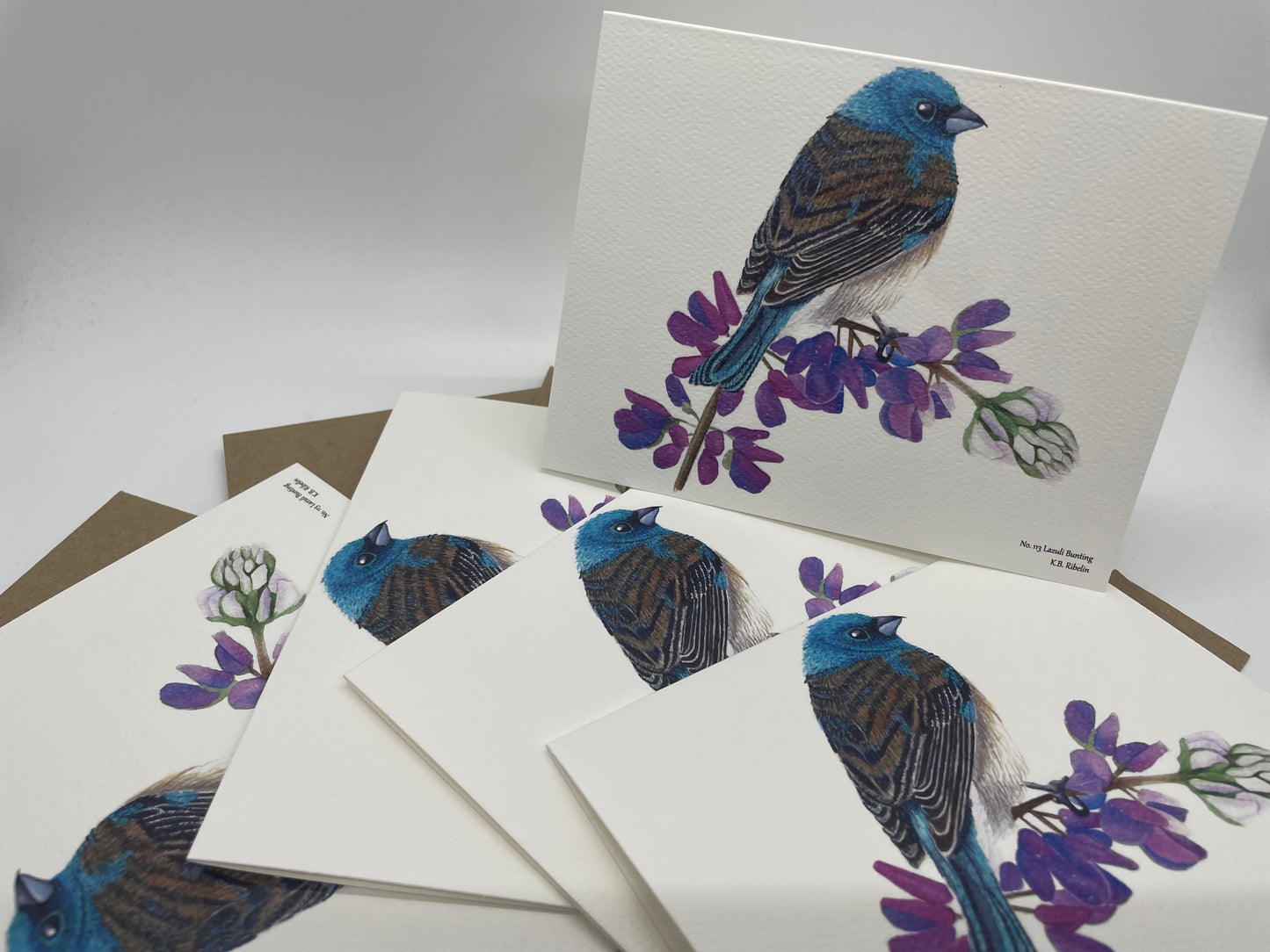 Lazuli Bunting - Bird Art by KB - Notecard Set
