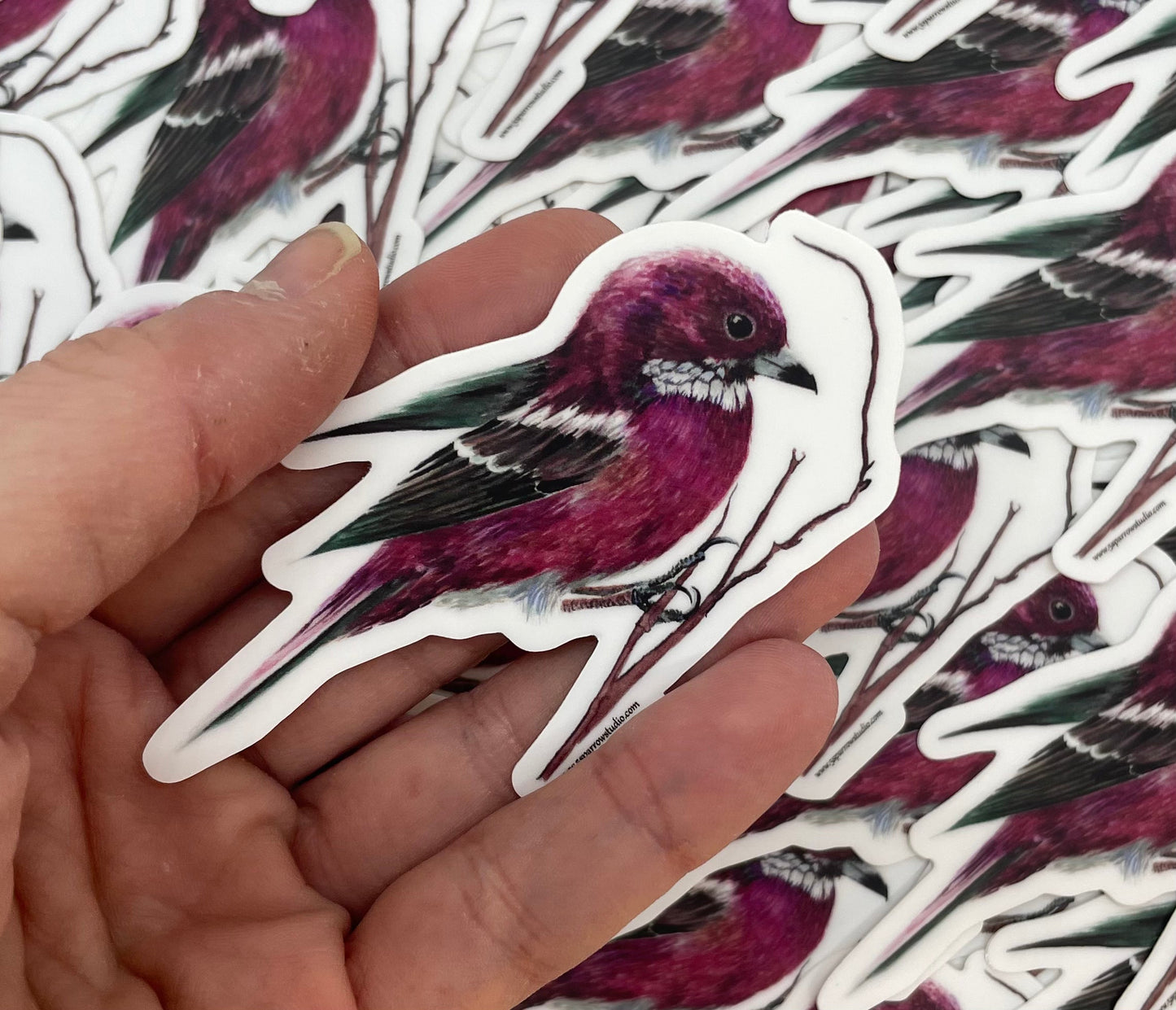 Rose Finch - Bird Art by KB