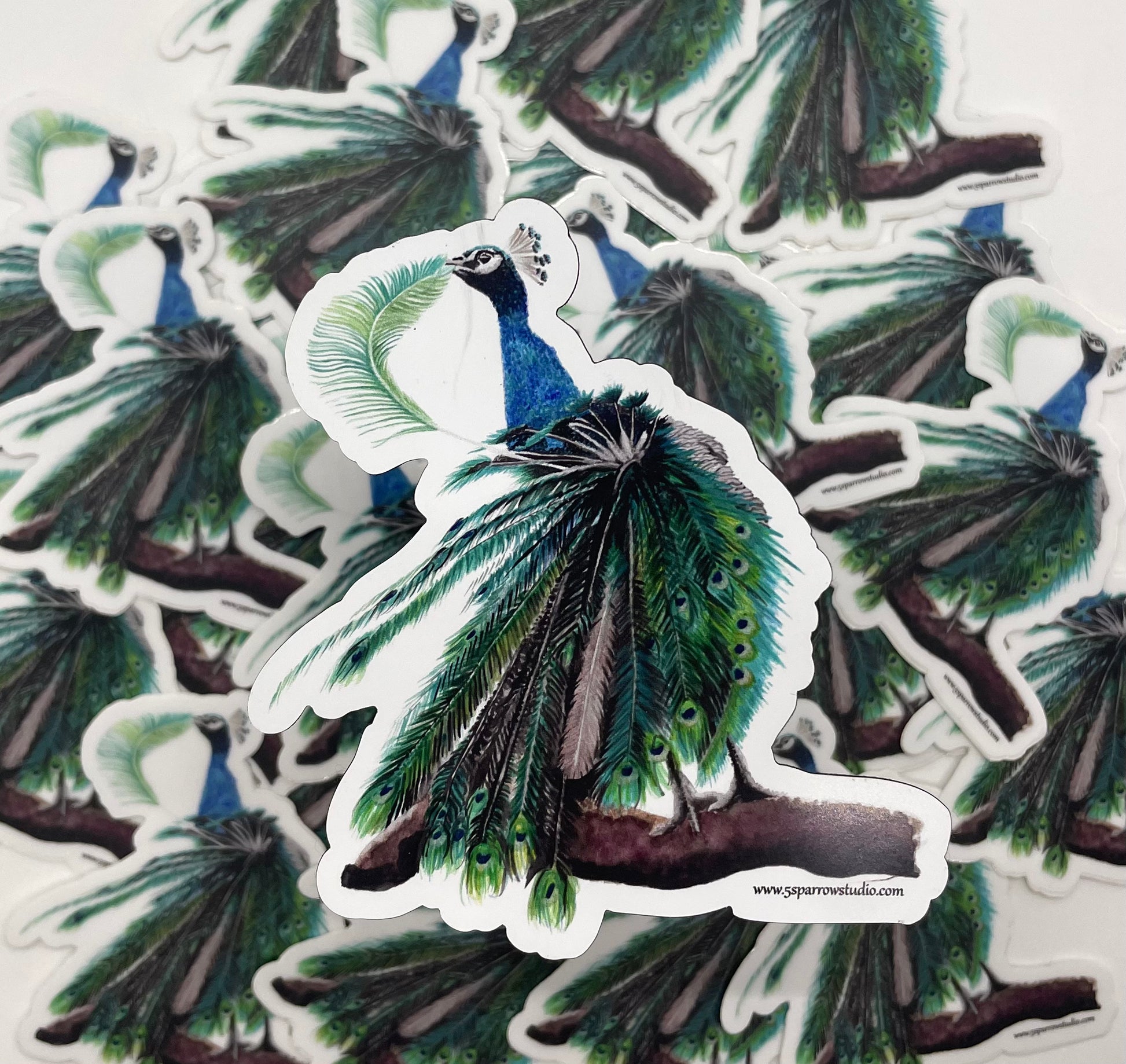 Peacock - Bird Art by KB