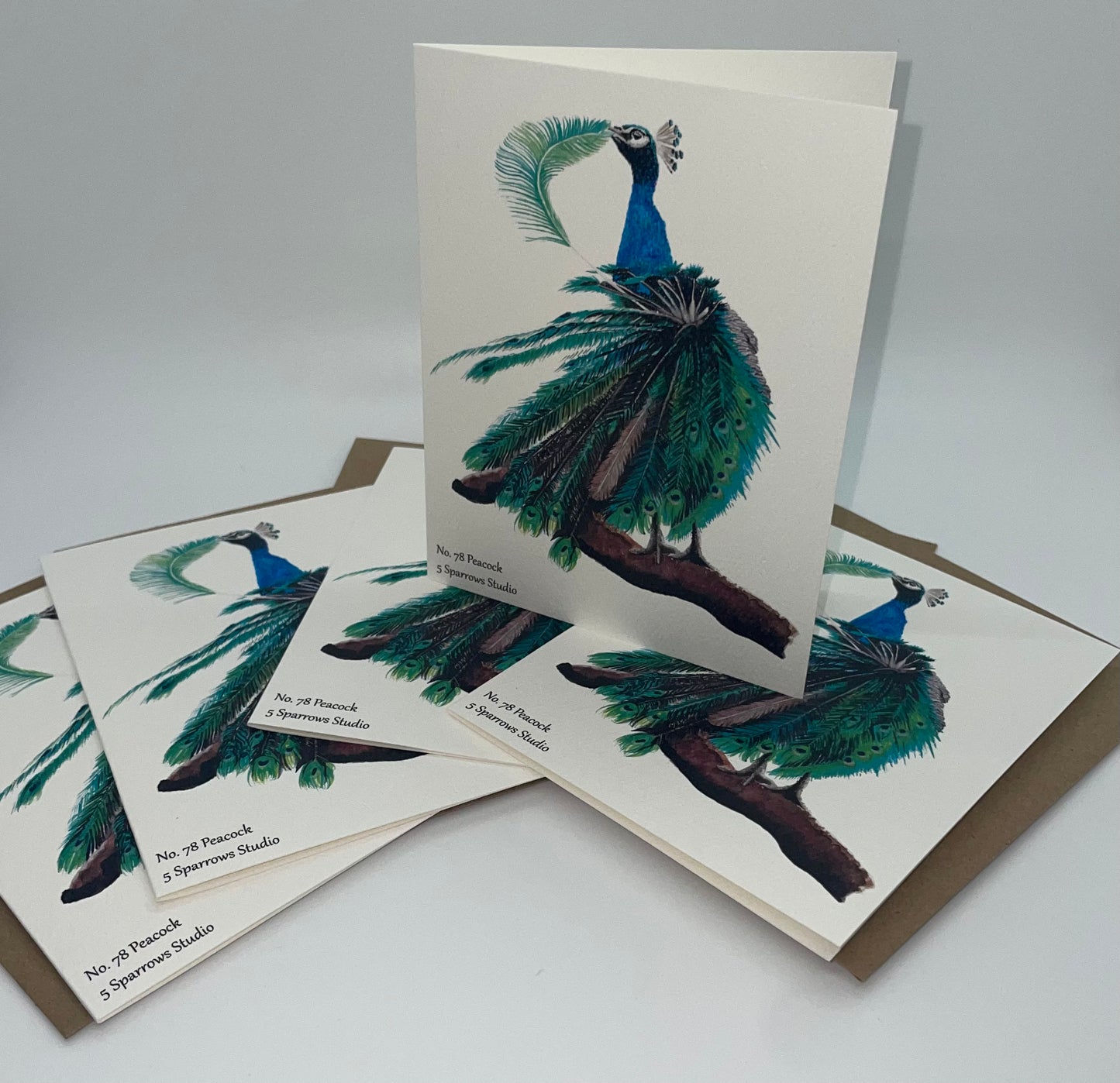 Peacock - Bird Art by KB