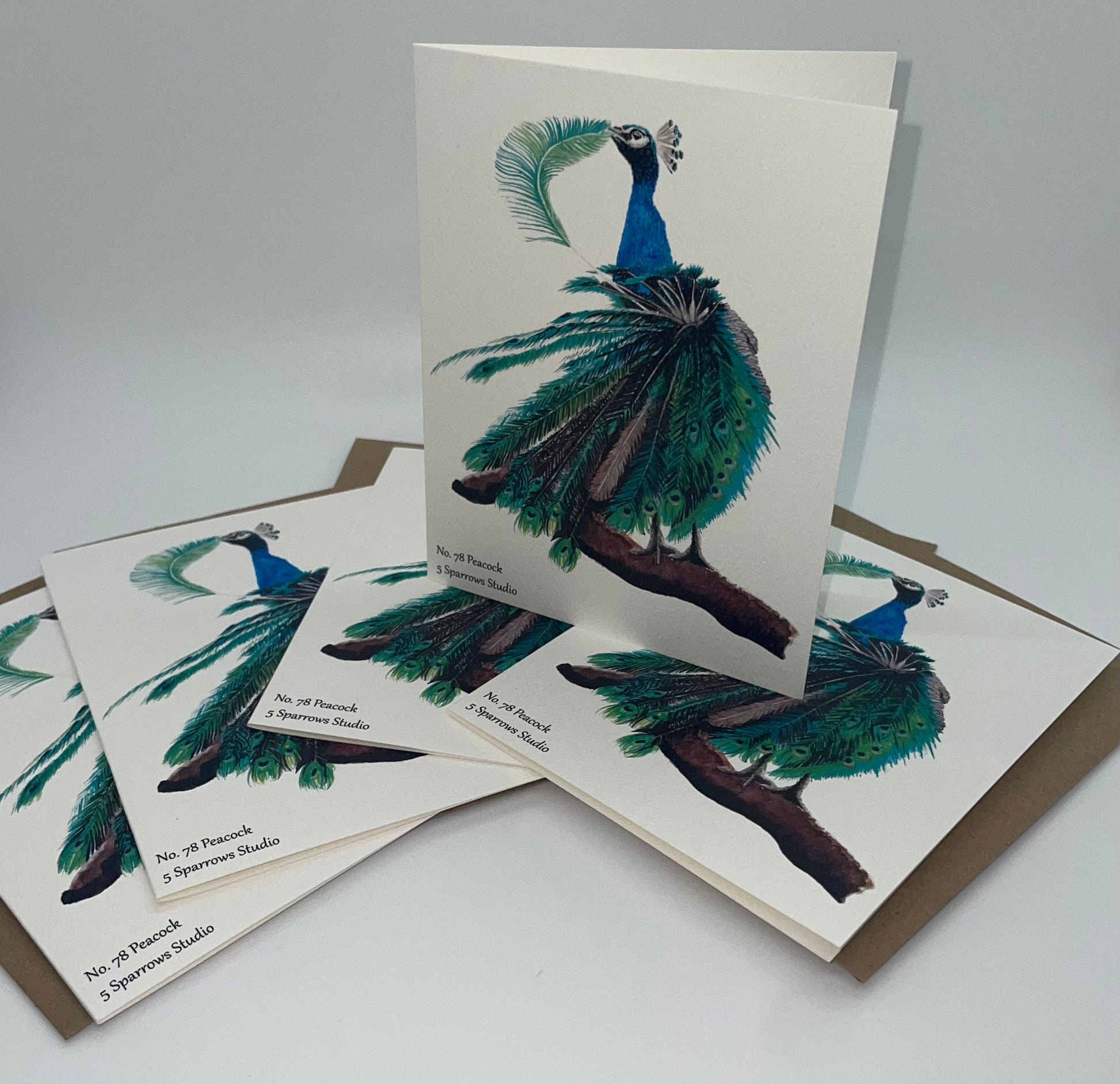 Peacock - Bird Art by KB