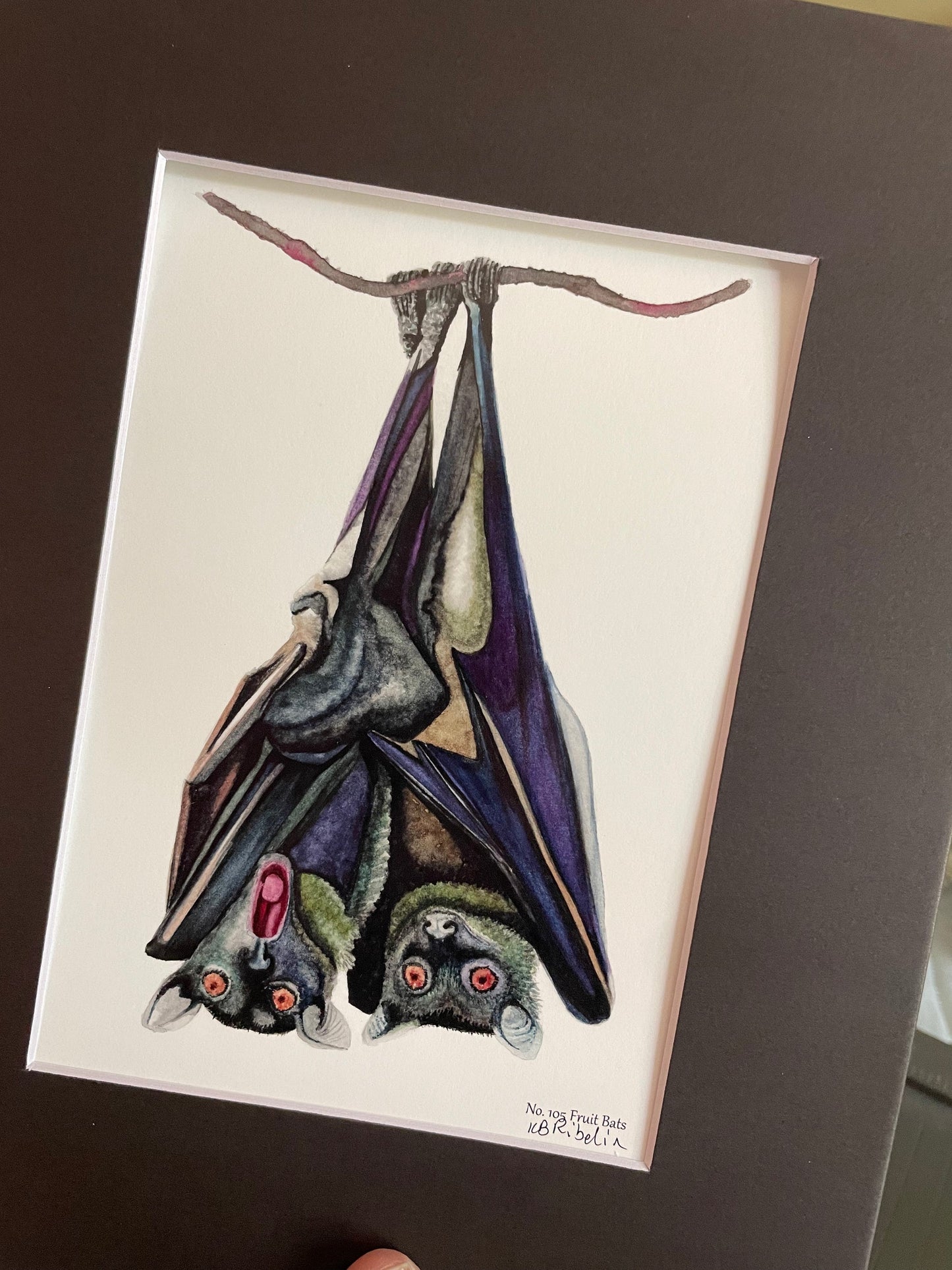 Fruit Bats - Bird Art by KB - Giclee Print with Black Mat