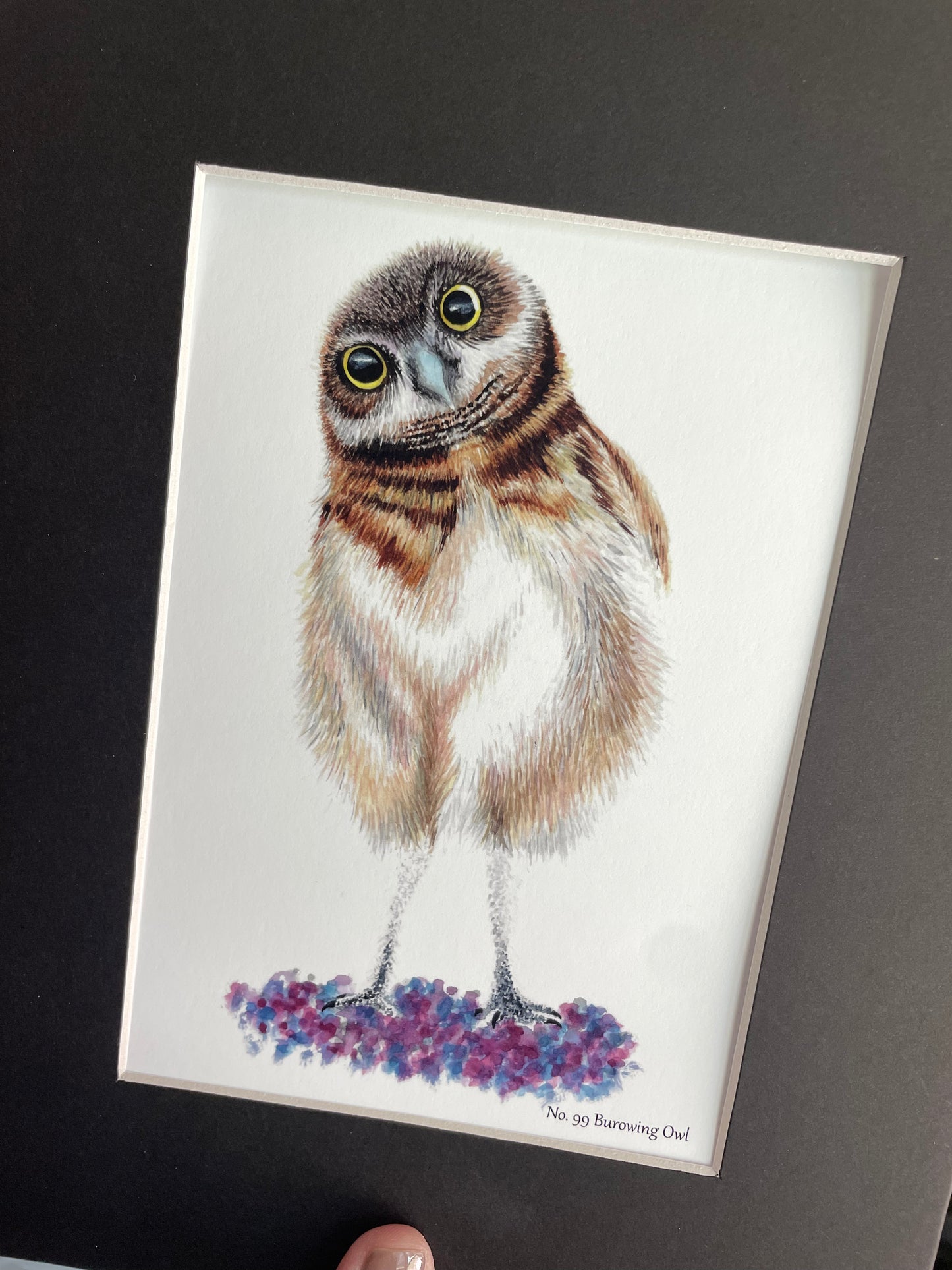 Burrowing Owl - Bird Art by KB