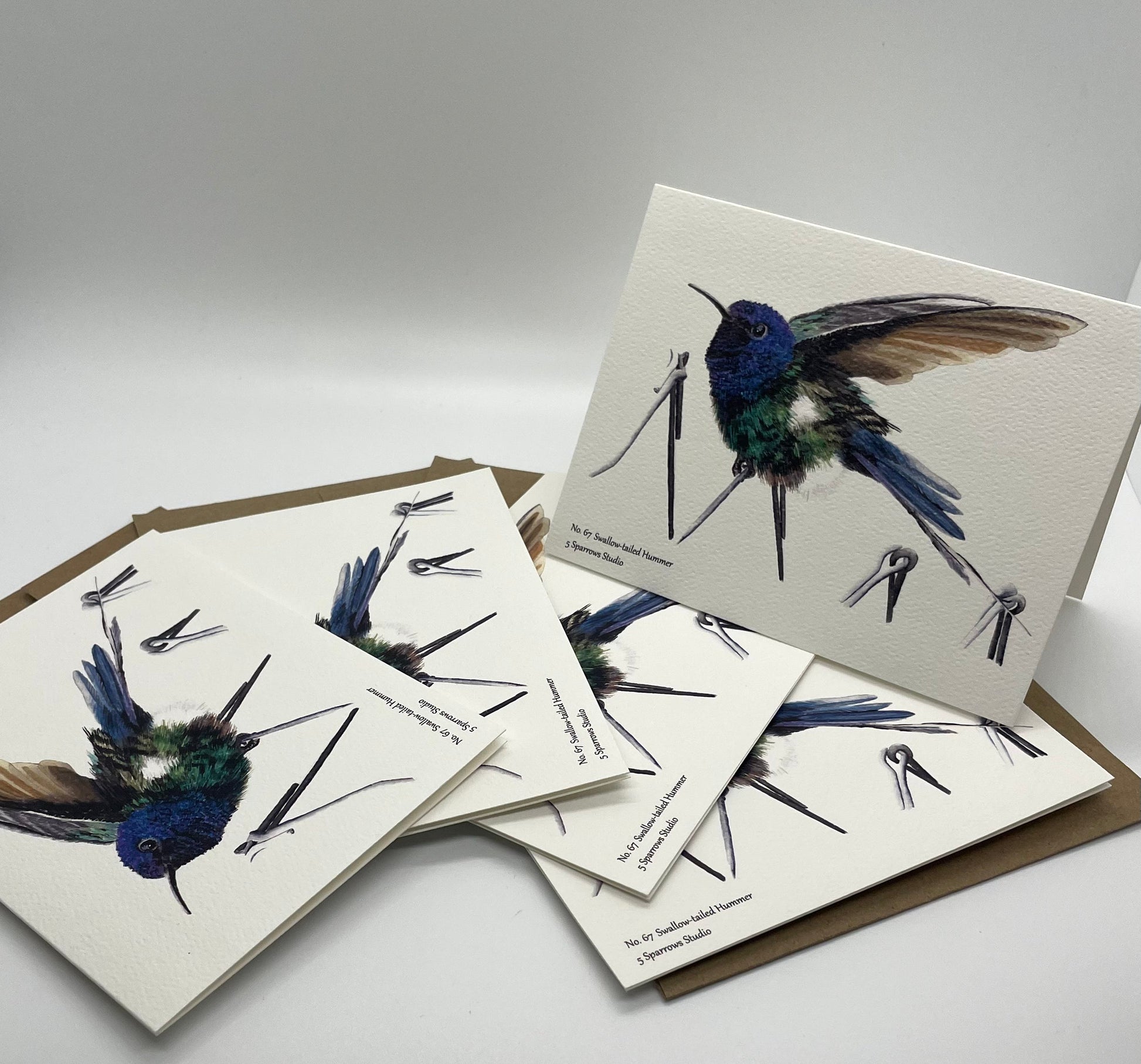 Swallow-Tailed Hummingbird - Bird Art by KB