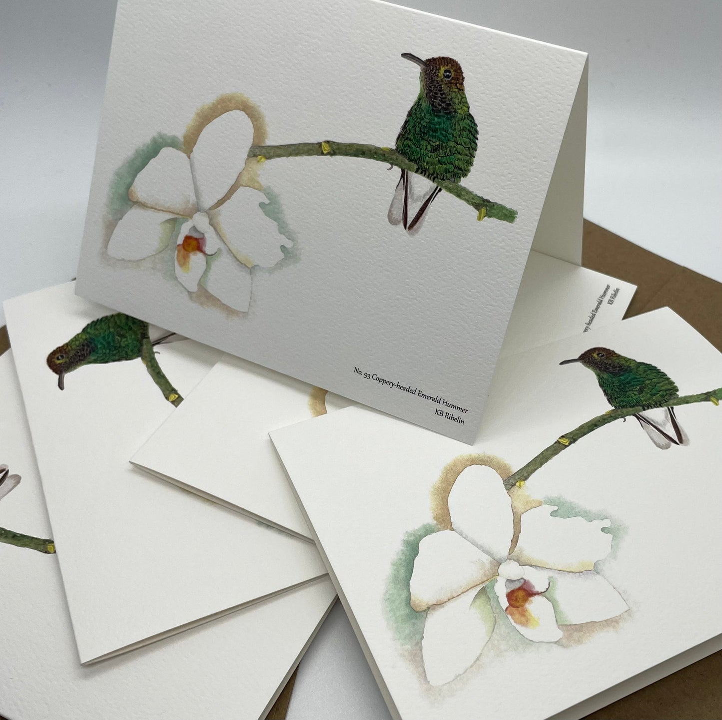 Coppery-Headed Hummingbird - Bird Art by KB