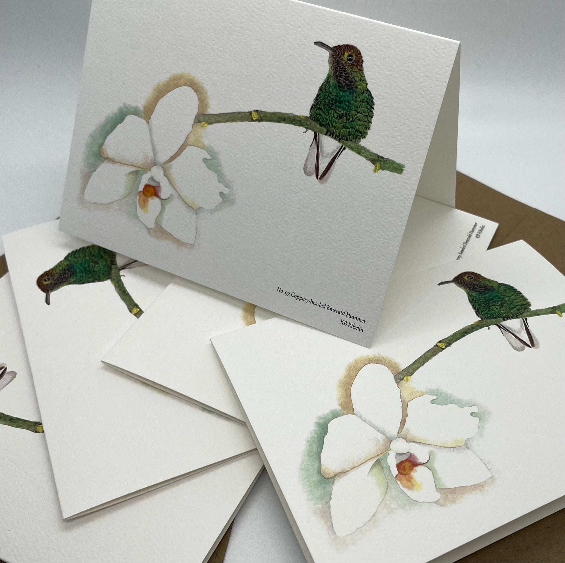 Coppery-Headed Hummingbird - Bird Art by KB