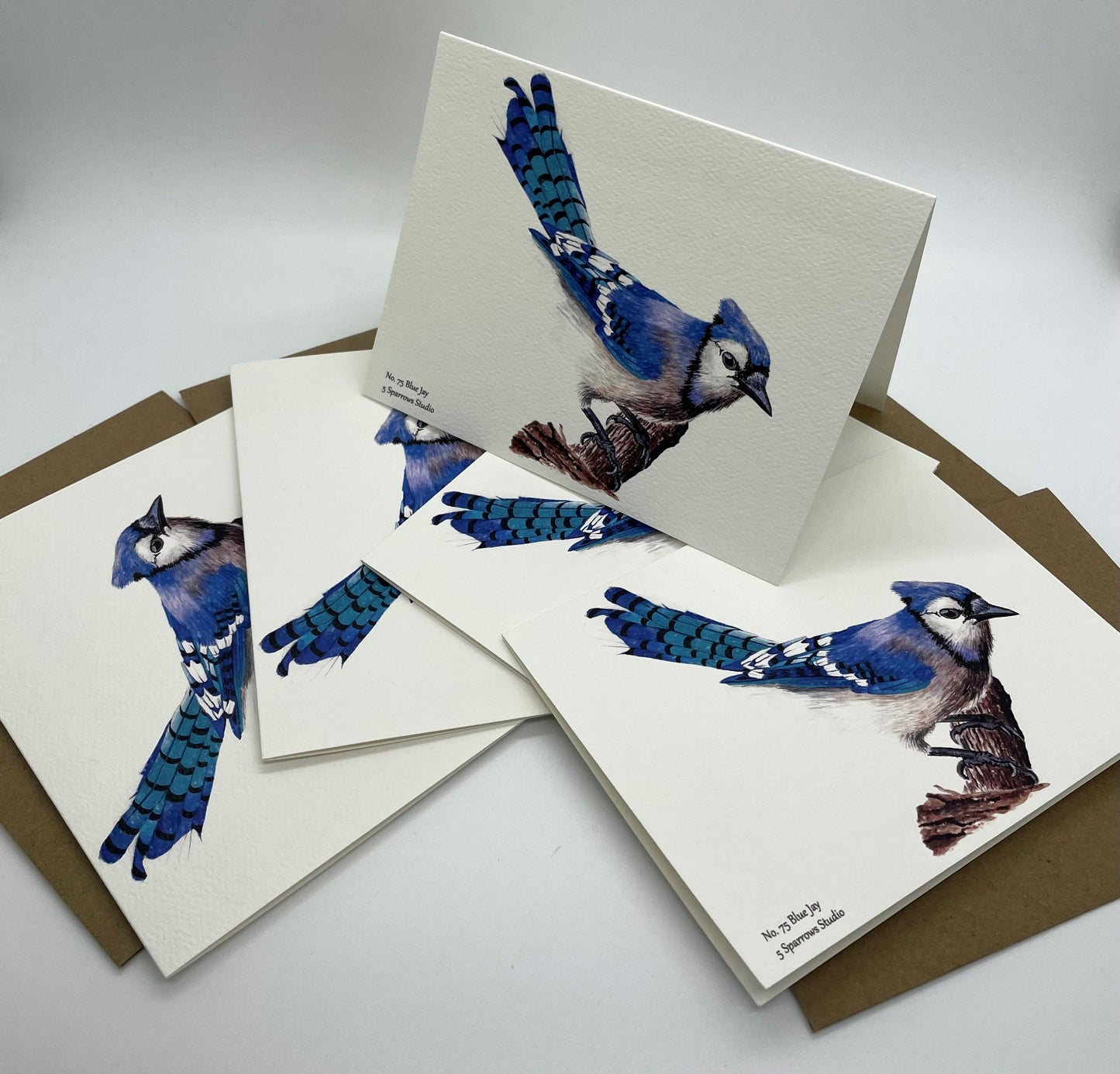 Blue Jay - Bird Art by KB
