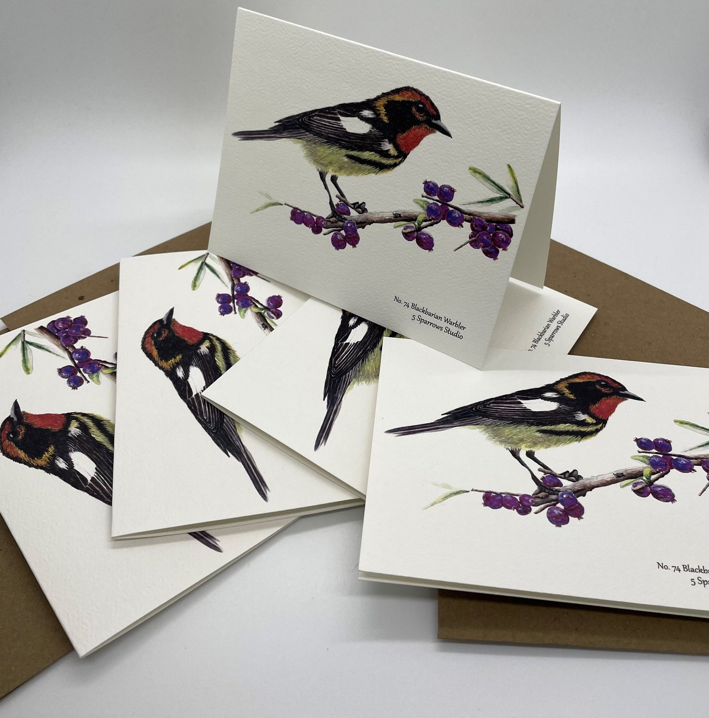 Blackburnian Warbler - Bird Art by KB