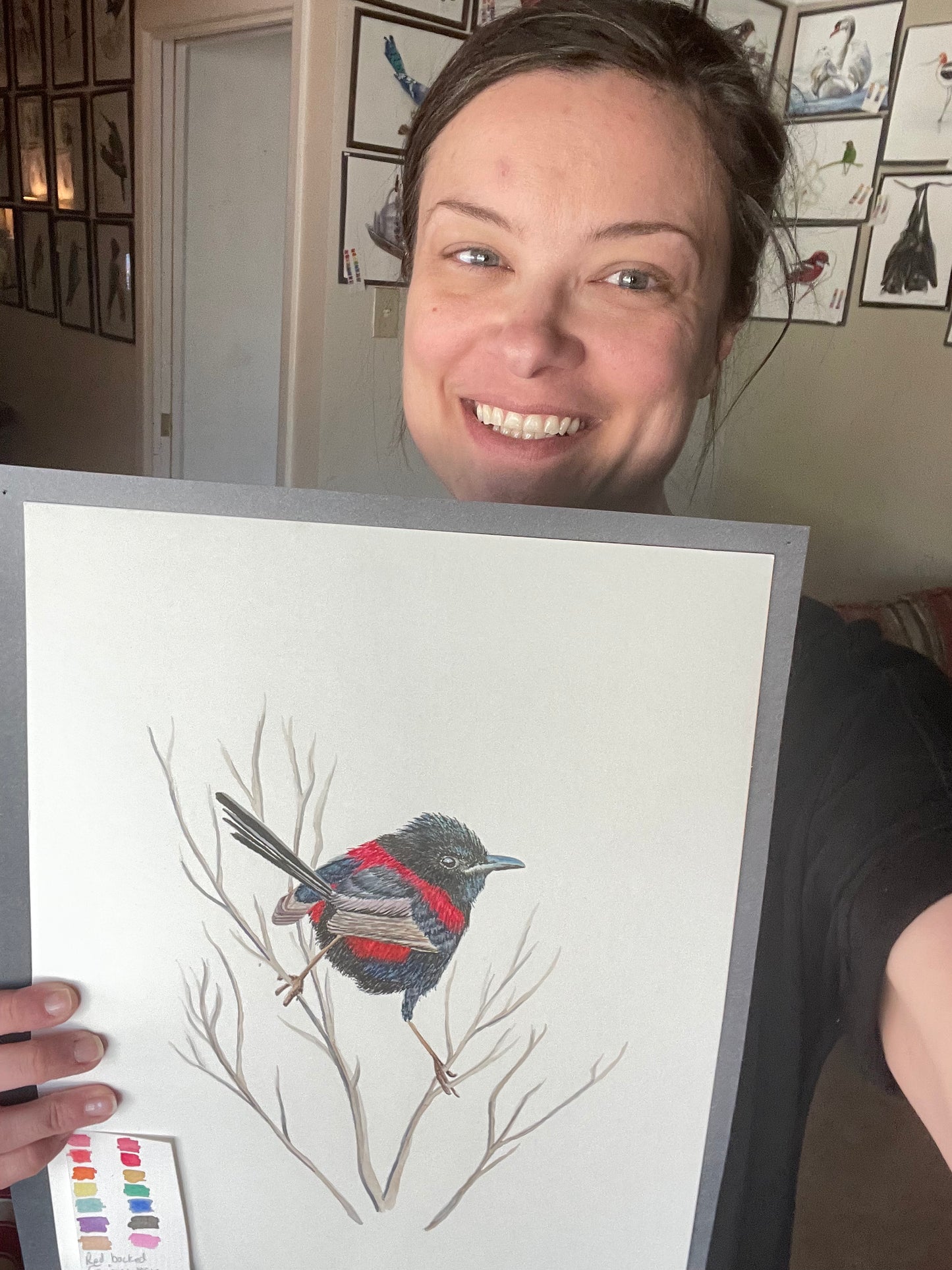 Red-backed Fairywren - Bird Art by KB