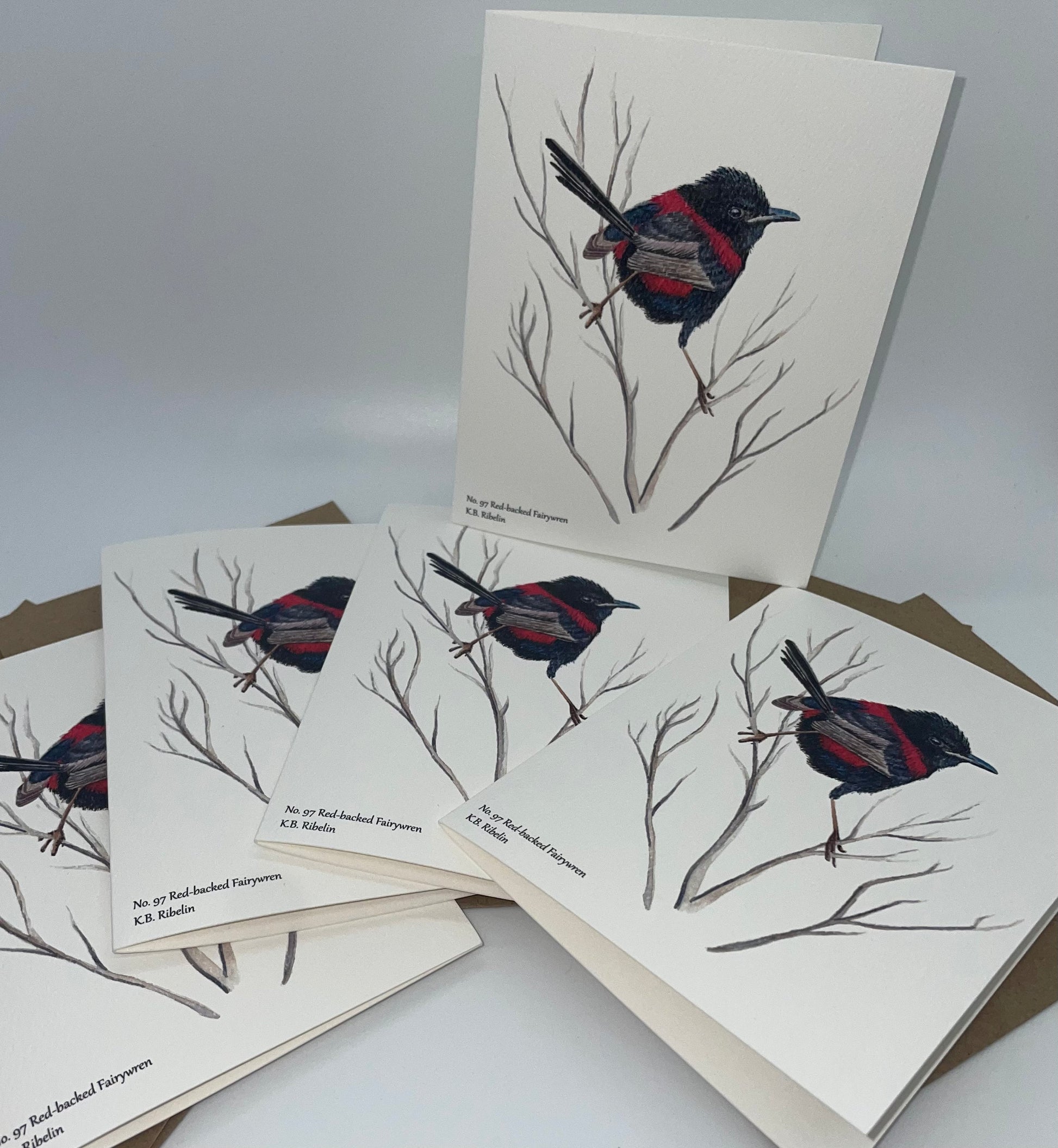 Red-backed Fairywren - Bird Art by KB
