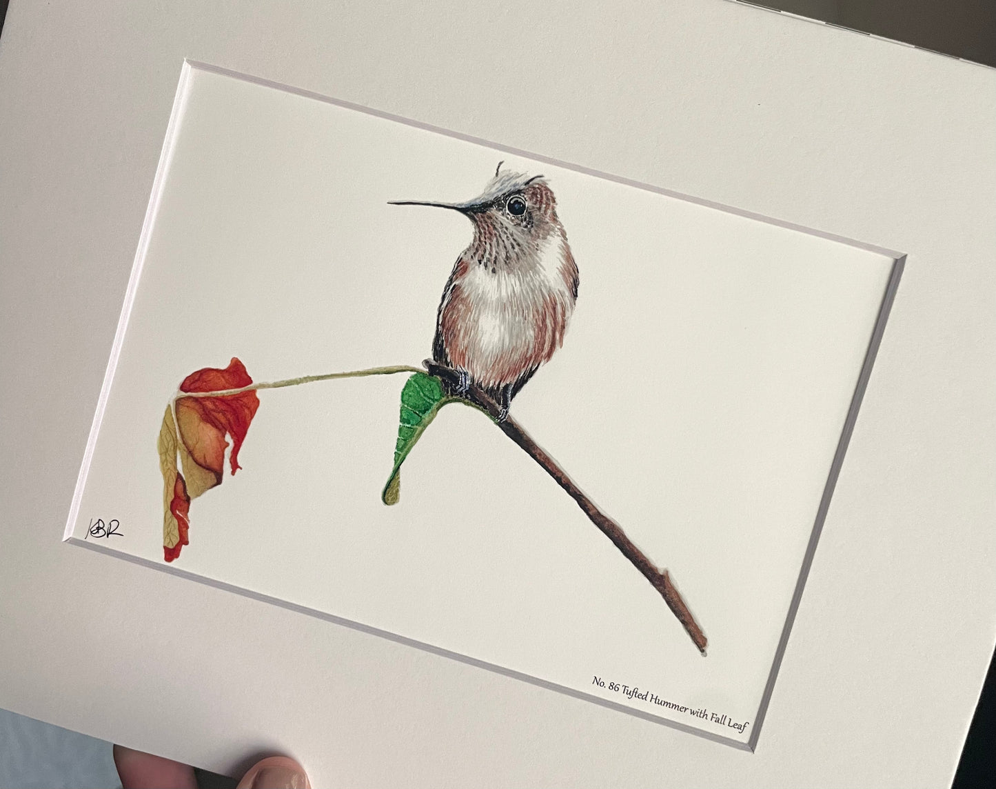 Tufted Hummingbird with Fall Leaf - Bird Art by KB