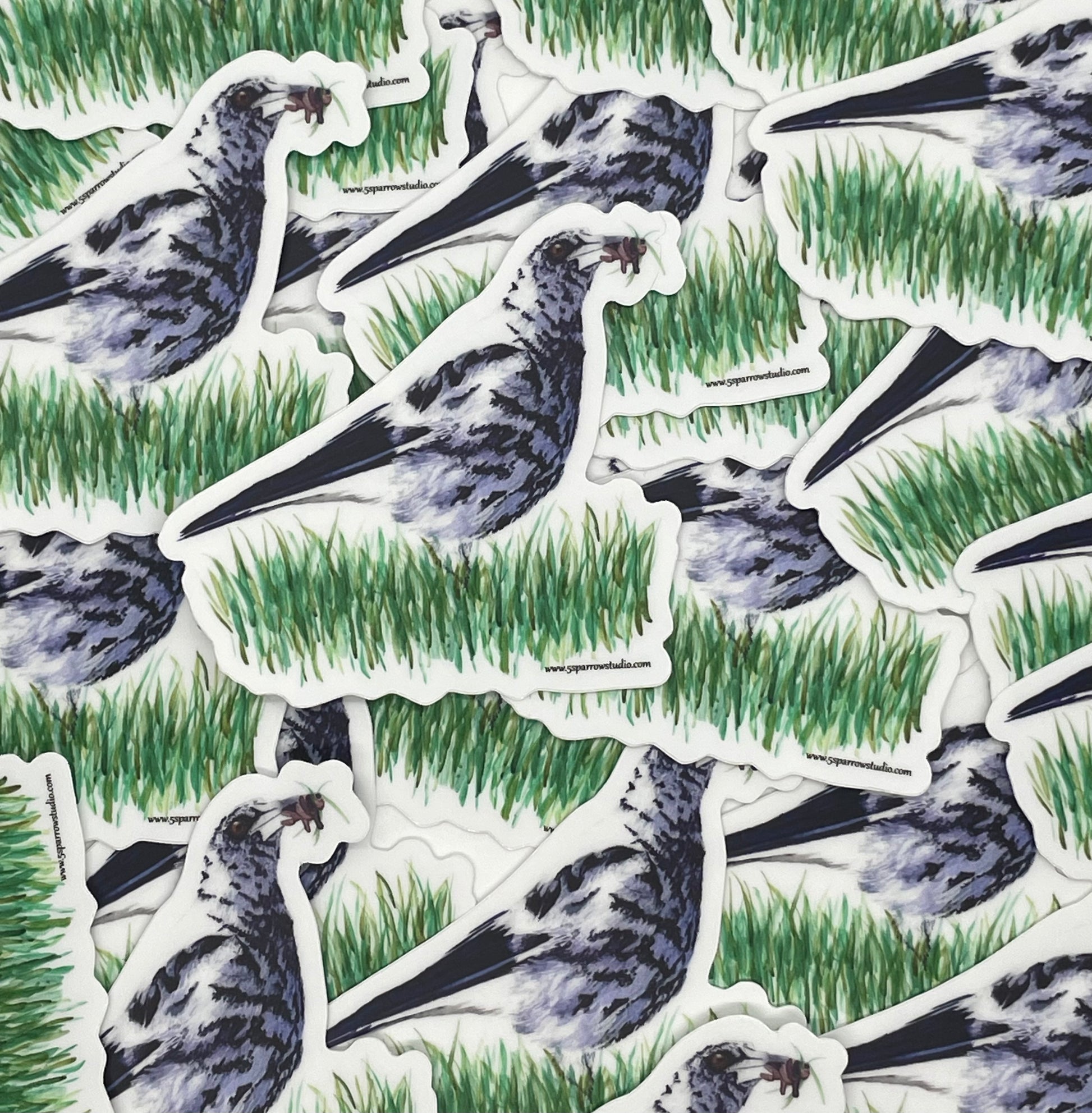 Dalmatian Magpie - Bird Art by KB