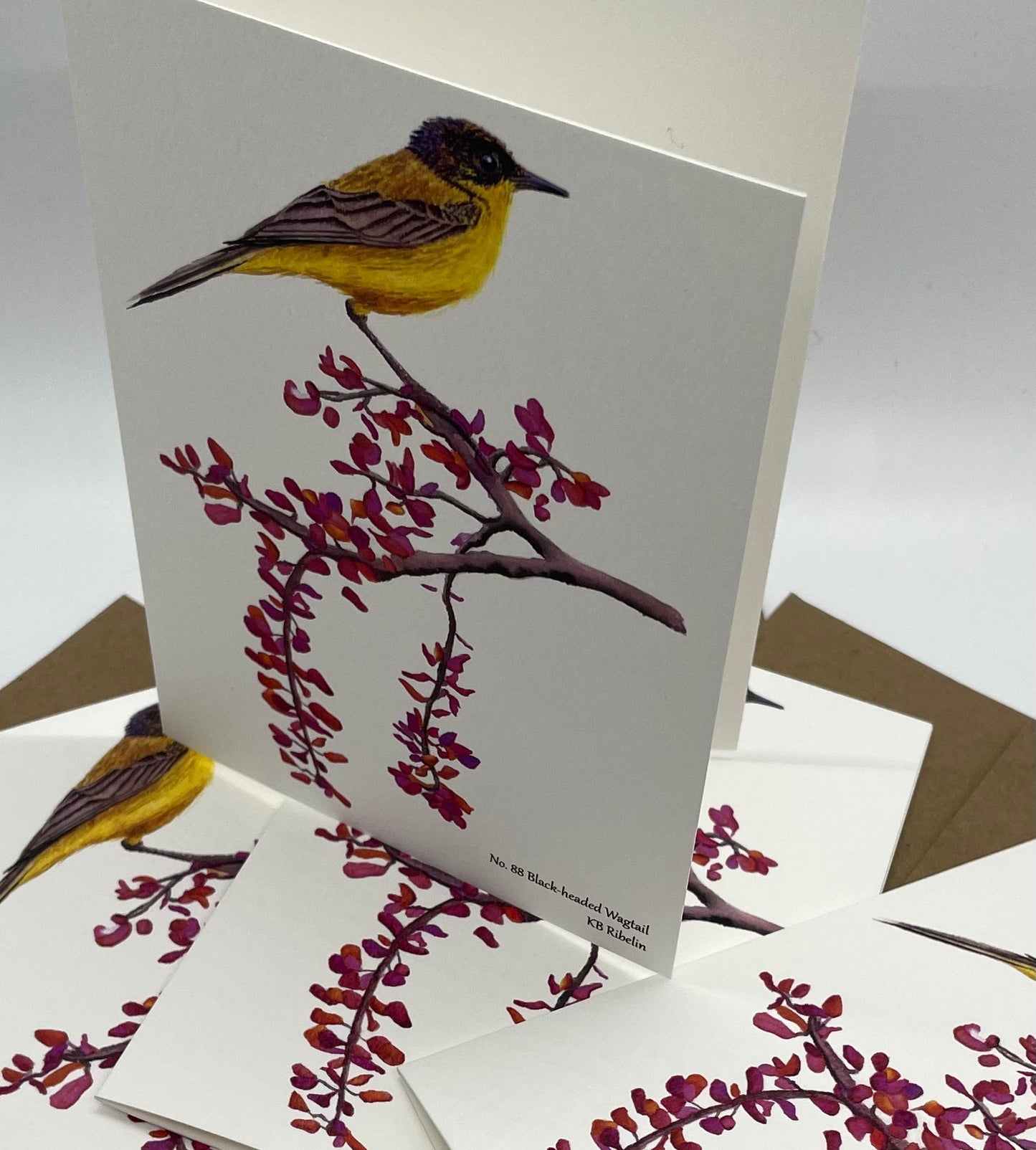 Black-headed Wagtail - Bird Art by KB