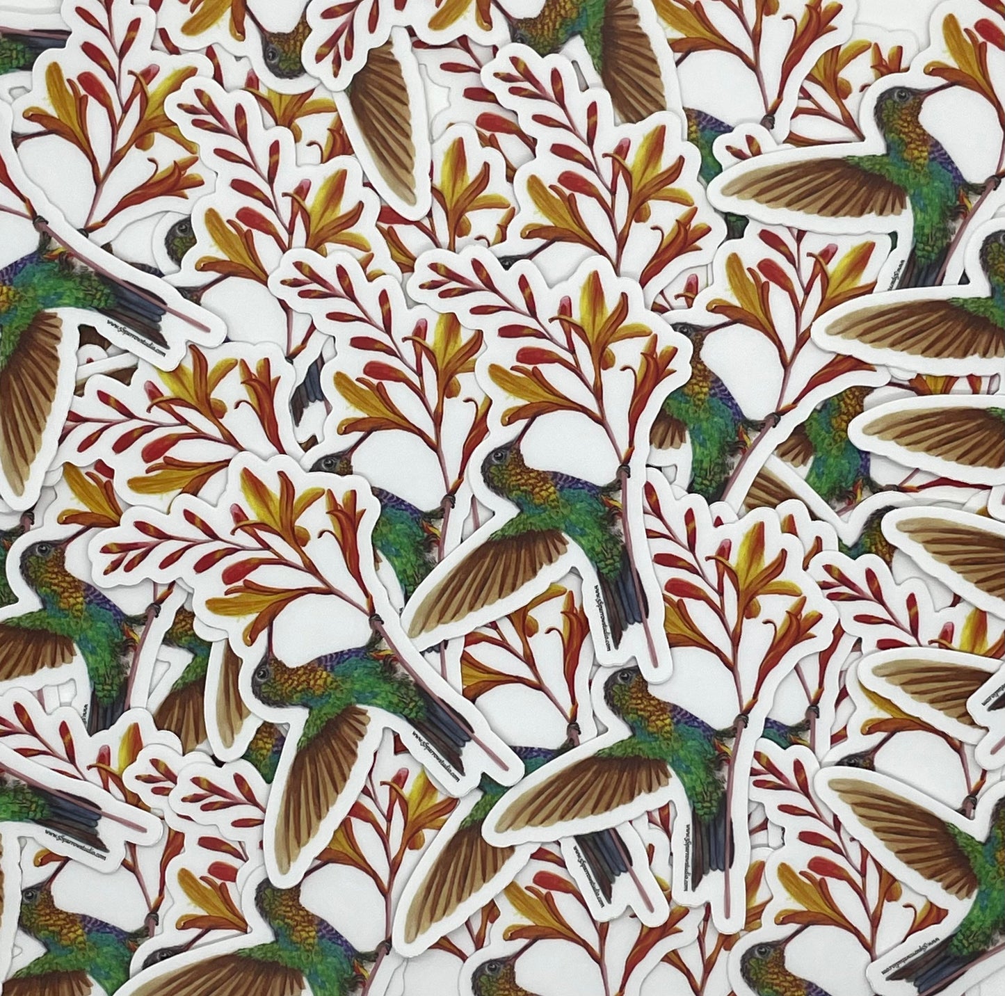Fiery-Throated Hummingbird - Bird Art by KB