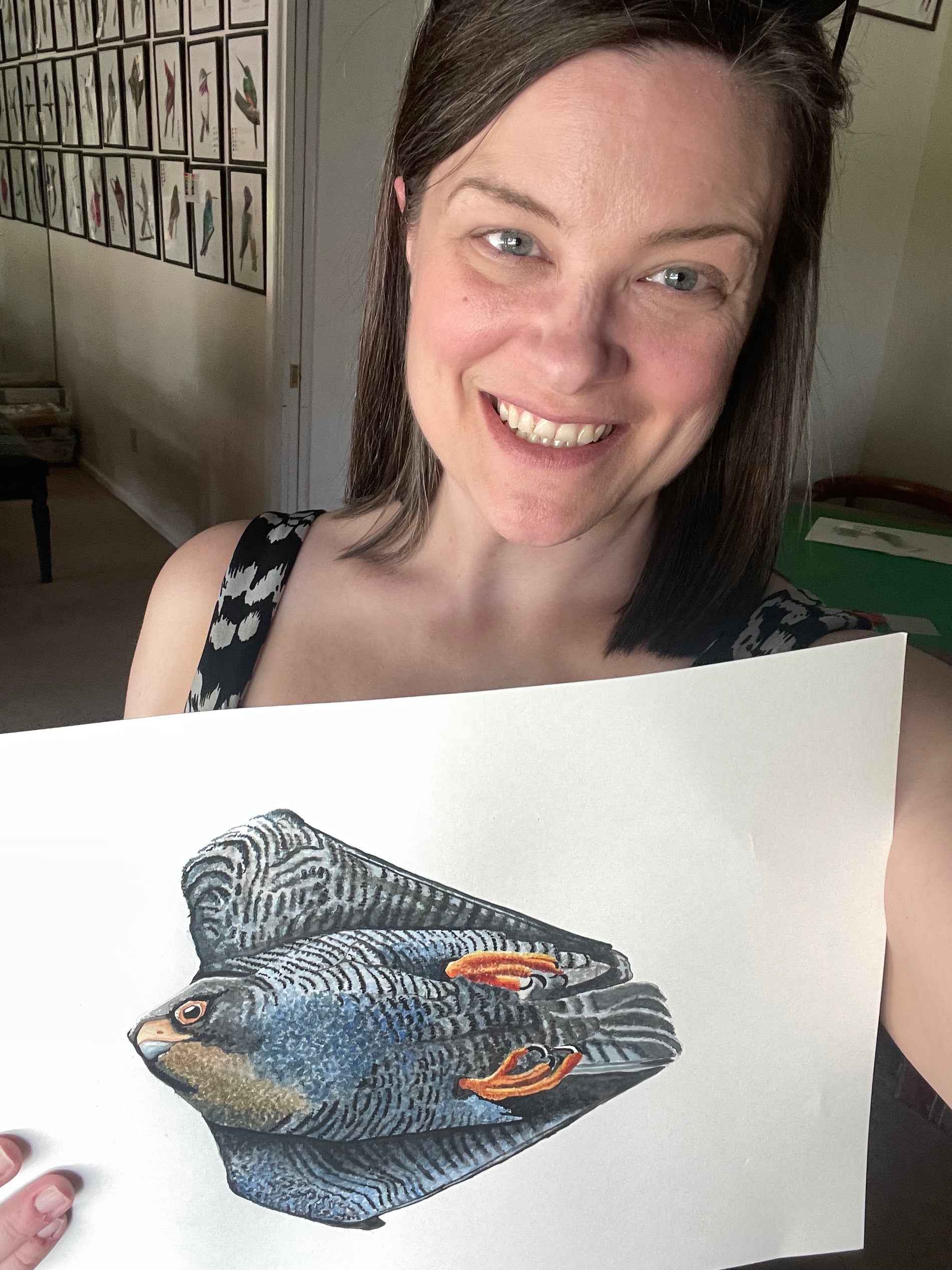 Peregrine Falcon - Bird Art by KB