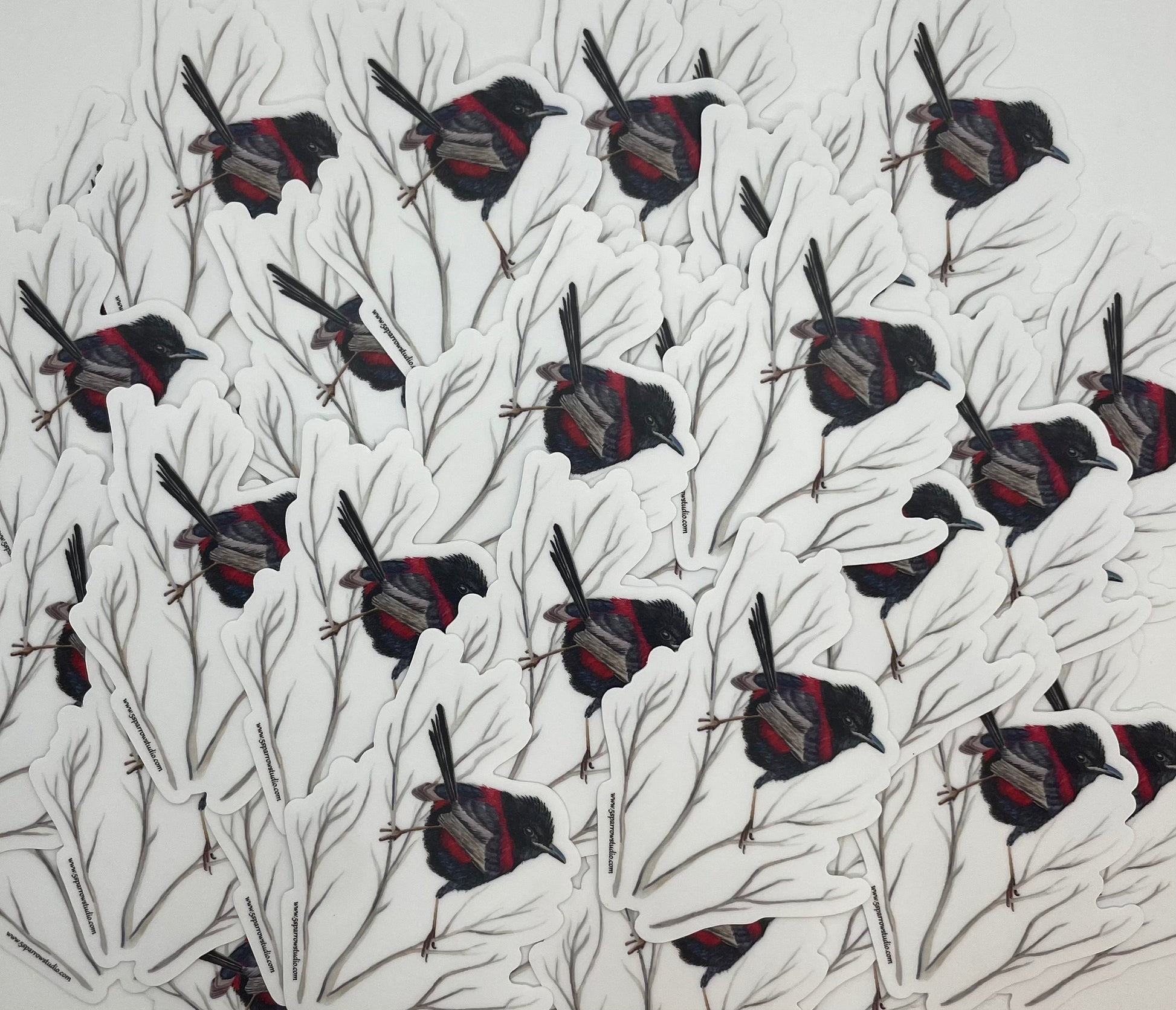 Red-backed Fairywren - Bird Art by KB