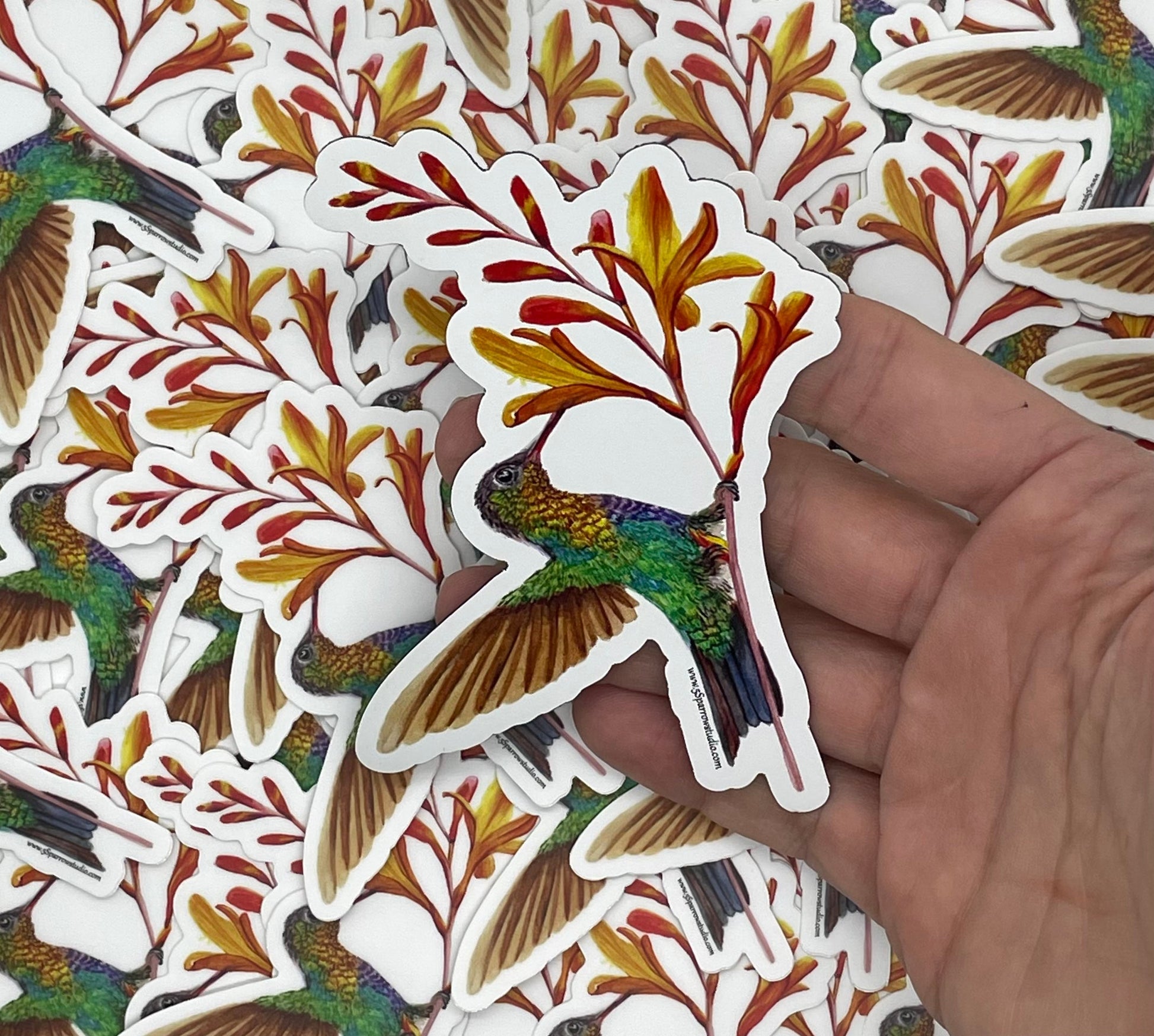 Fiery-Throated Hummingbird - Bird Art by KB