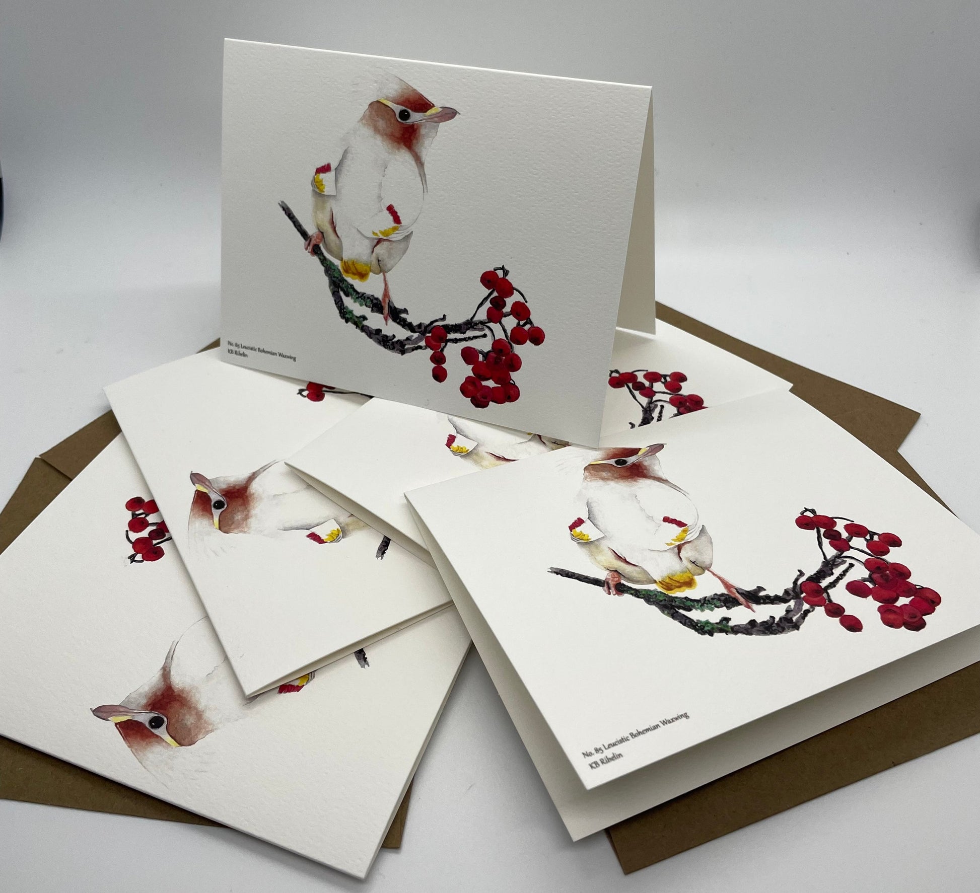 Leucistic Bohemian Waxwing - Bird Art by KB