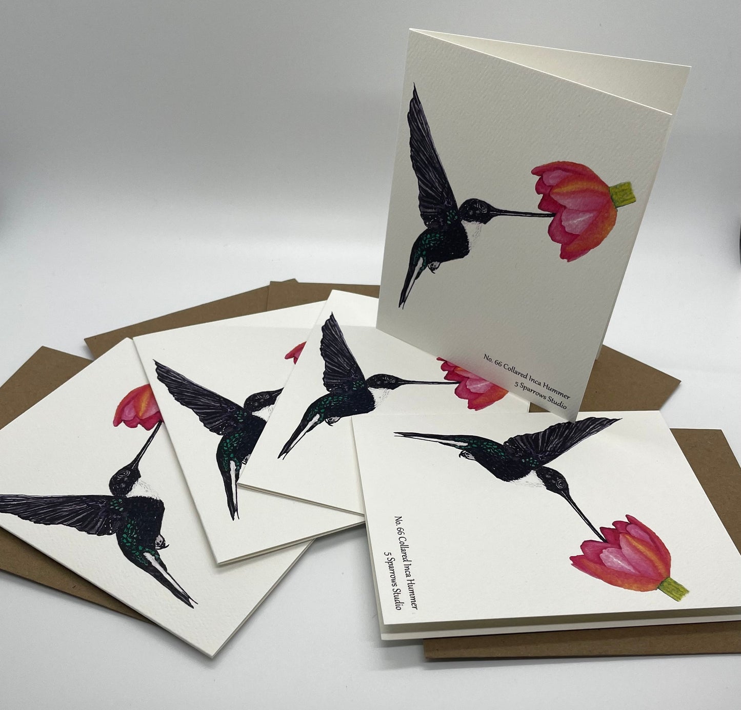 Collared Inca Hummingbird - Bird Art by KB