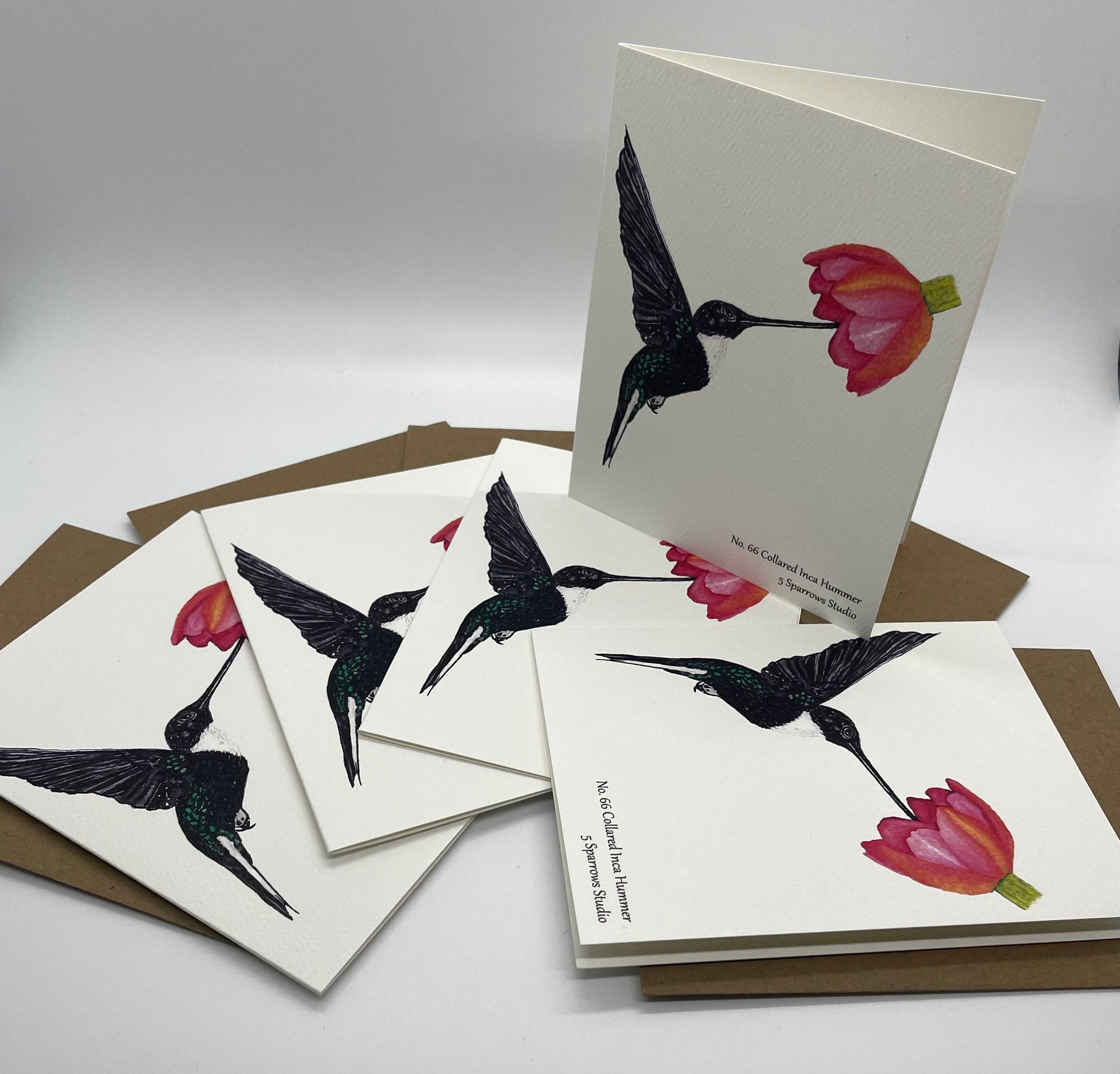 Collared Inca Hummingbird - Bird Art by KB