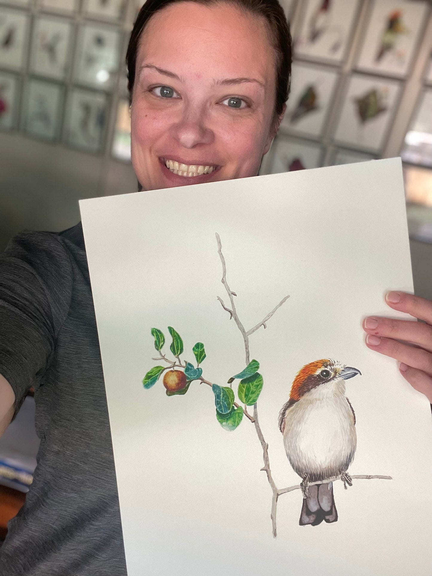 Woodchat Shrike - Bird Art by KB