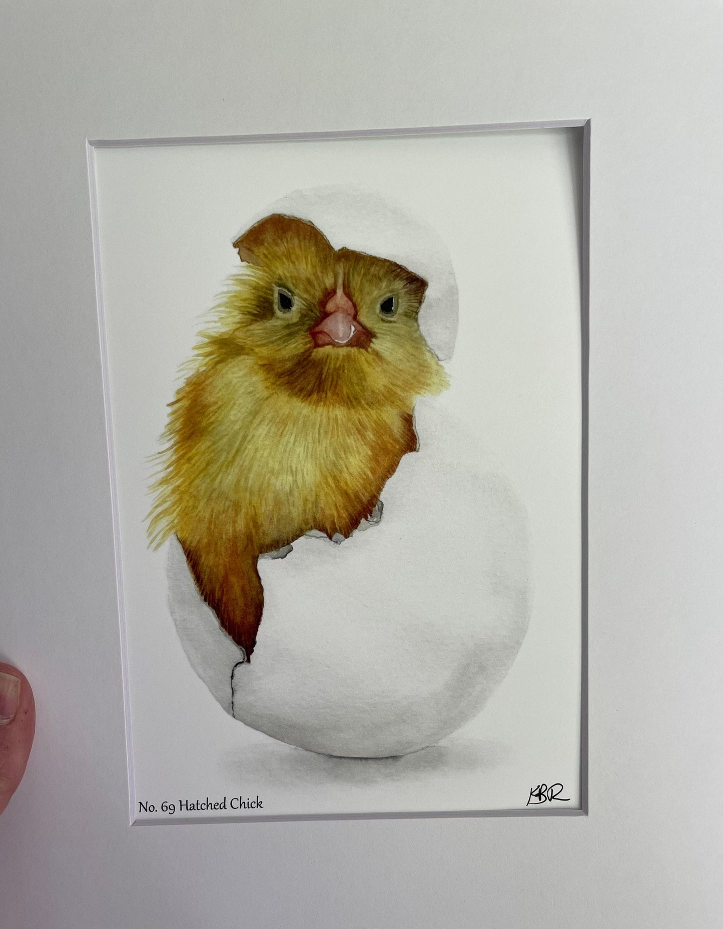 Chick (Hatched) - Bird Art by KB