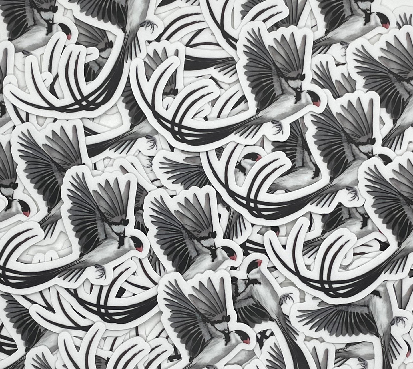 Pin-tailed Whydah - Bird Art by KB
