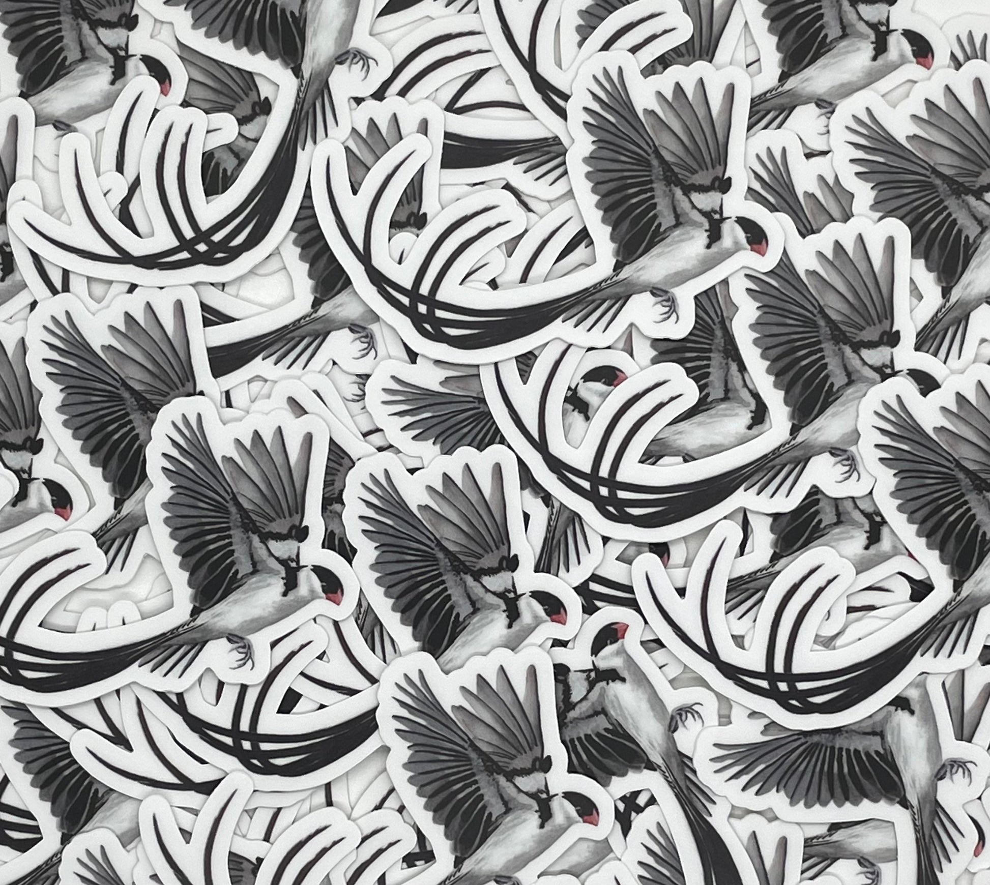Pin-tailed Whydah - Bird Art by KB