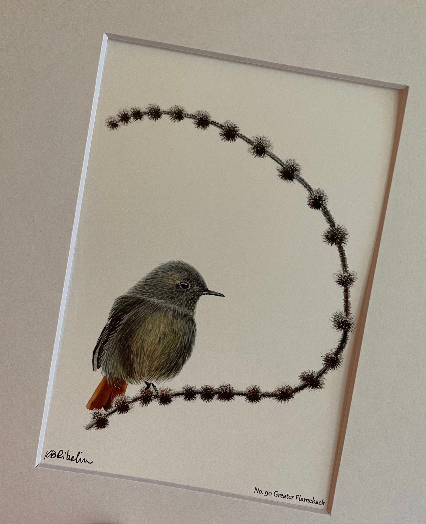 Black Redstart - Bird Art by KB