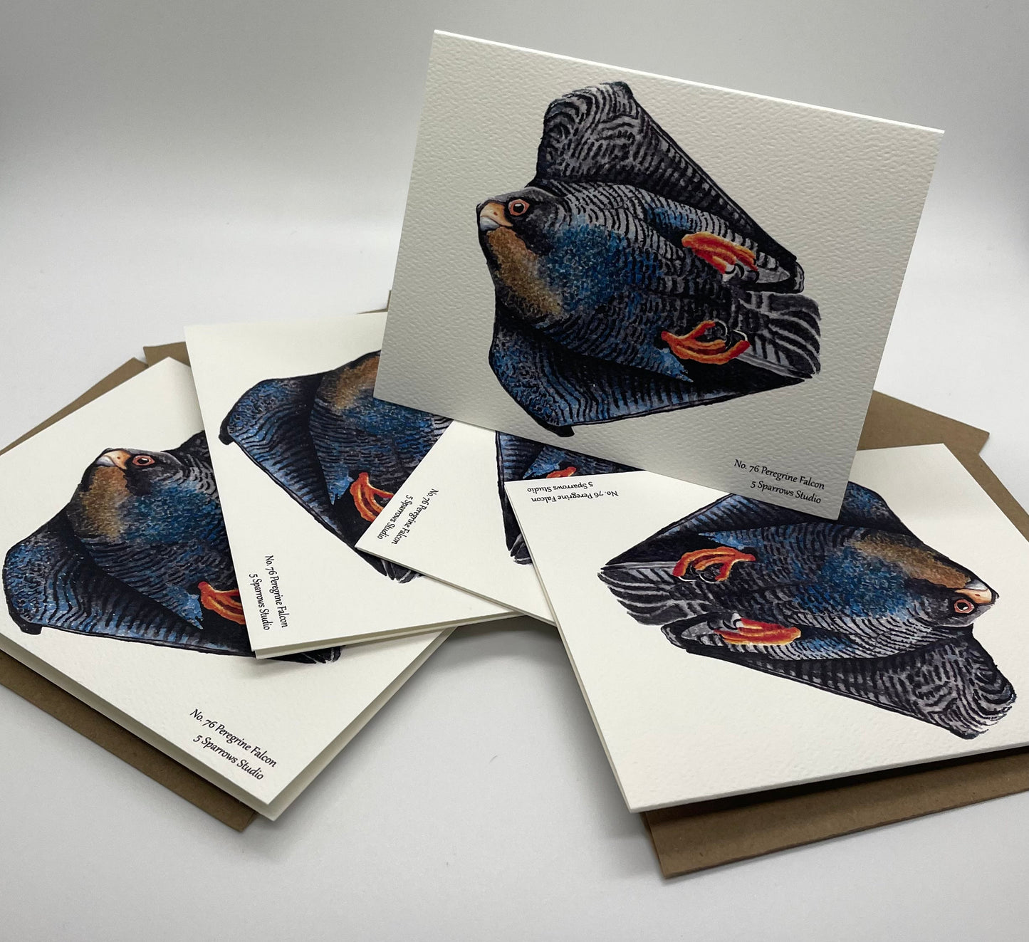 Peregrine Falcon - Bird Art by KB