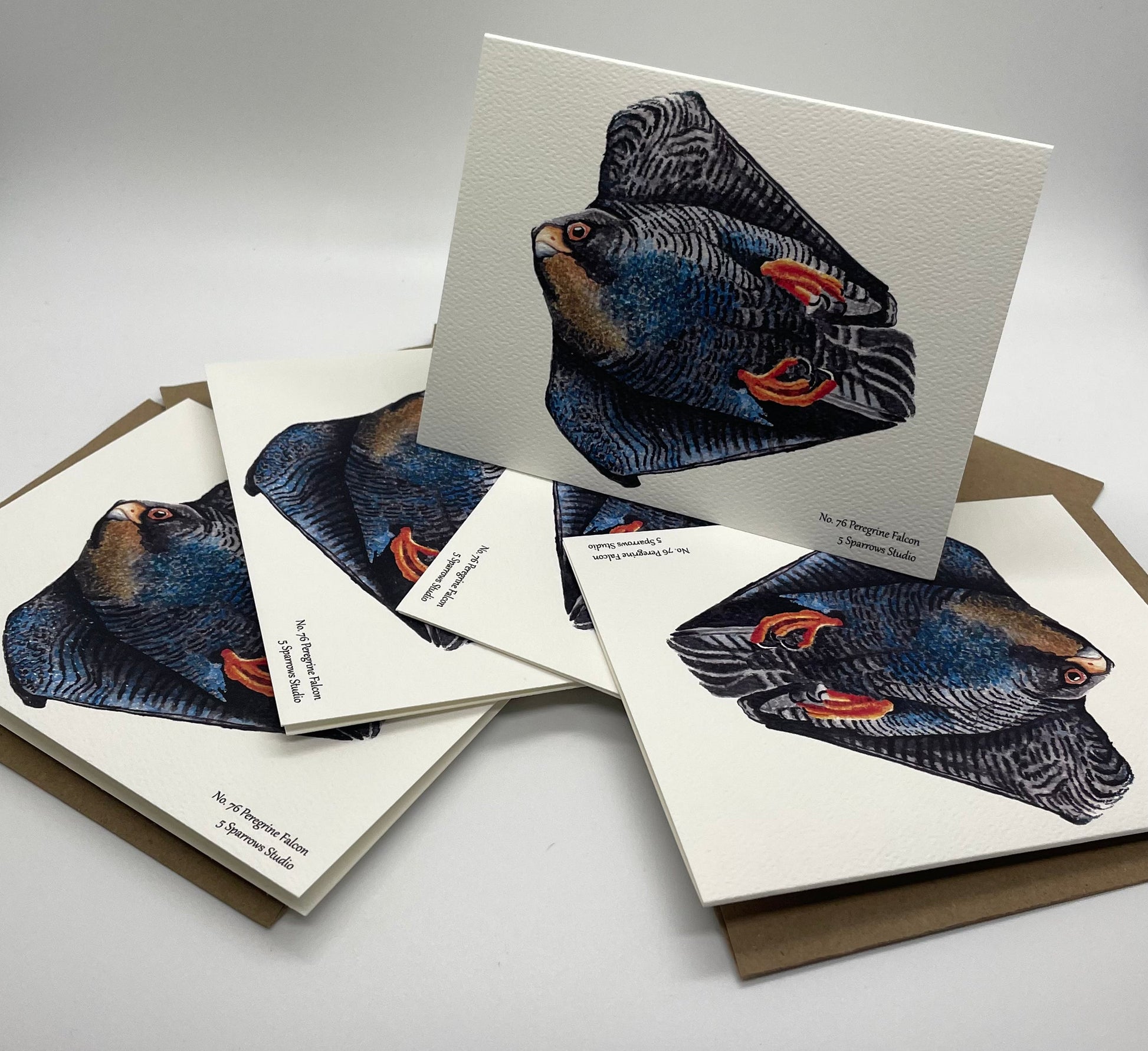 Peregrine Falcon - Bird Art by KB