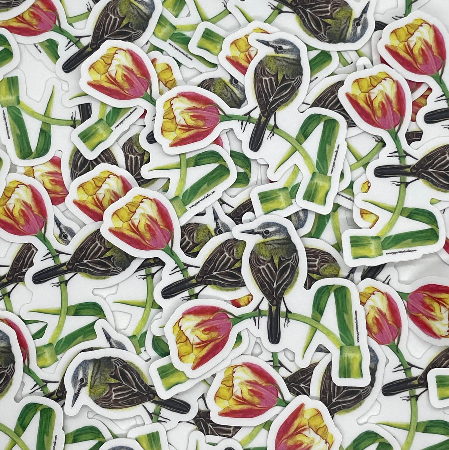 Yellow Wagtail - Bird Art by KB