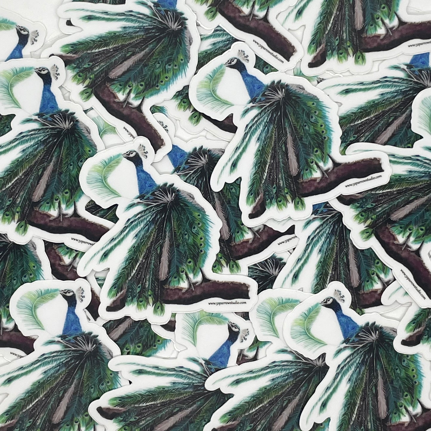 Peacock - Bird Art by KB