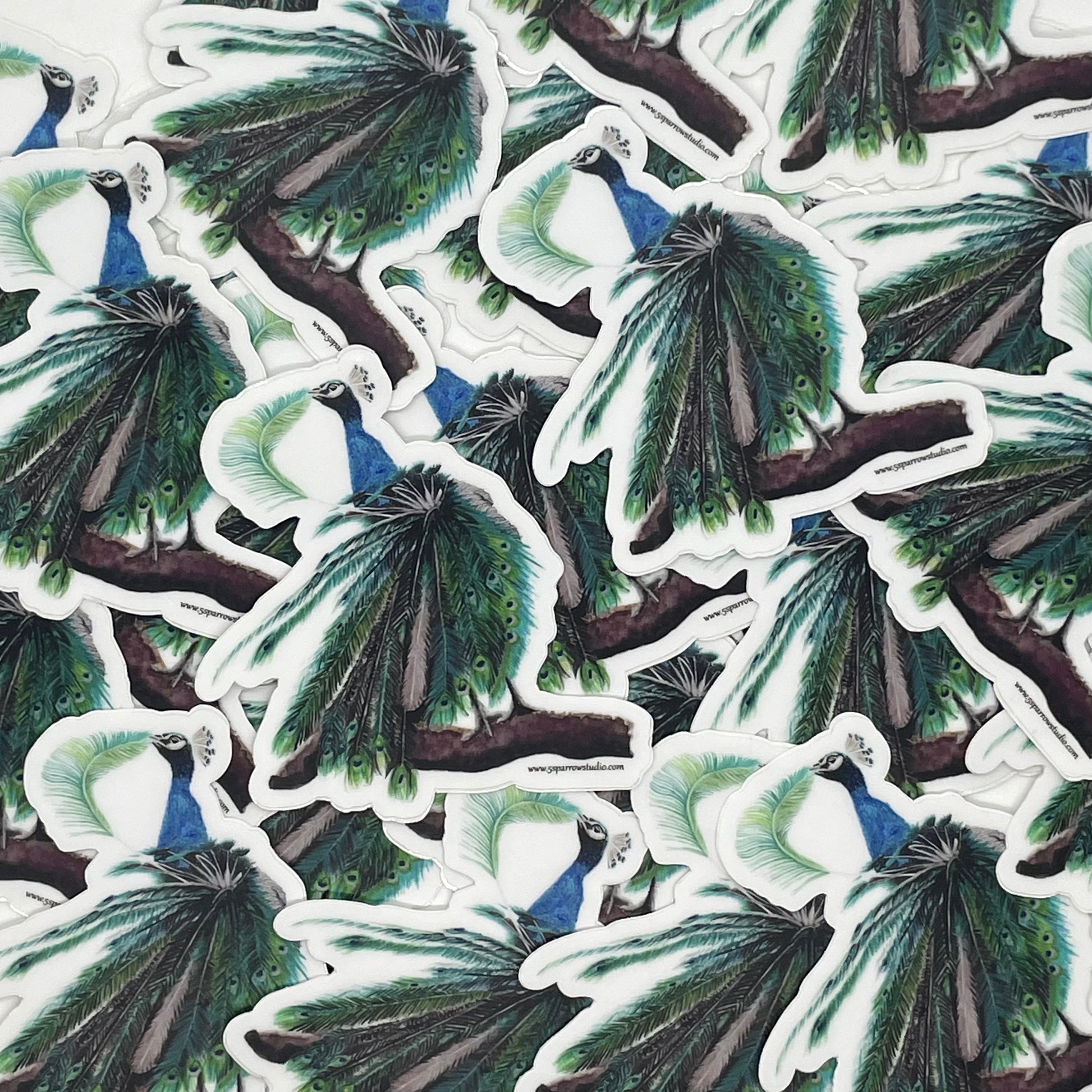 Peacock - Bird Art by KB