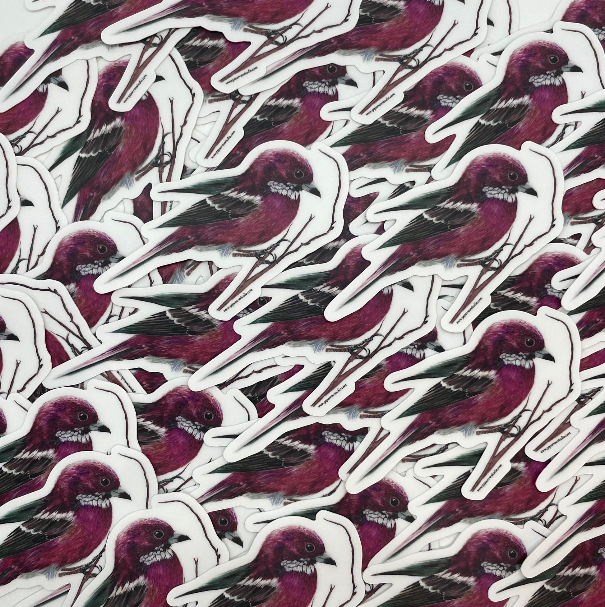 Rose Finch - Bird Art by KB