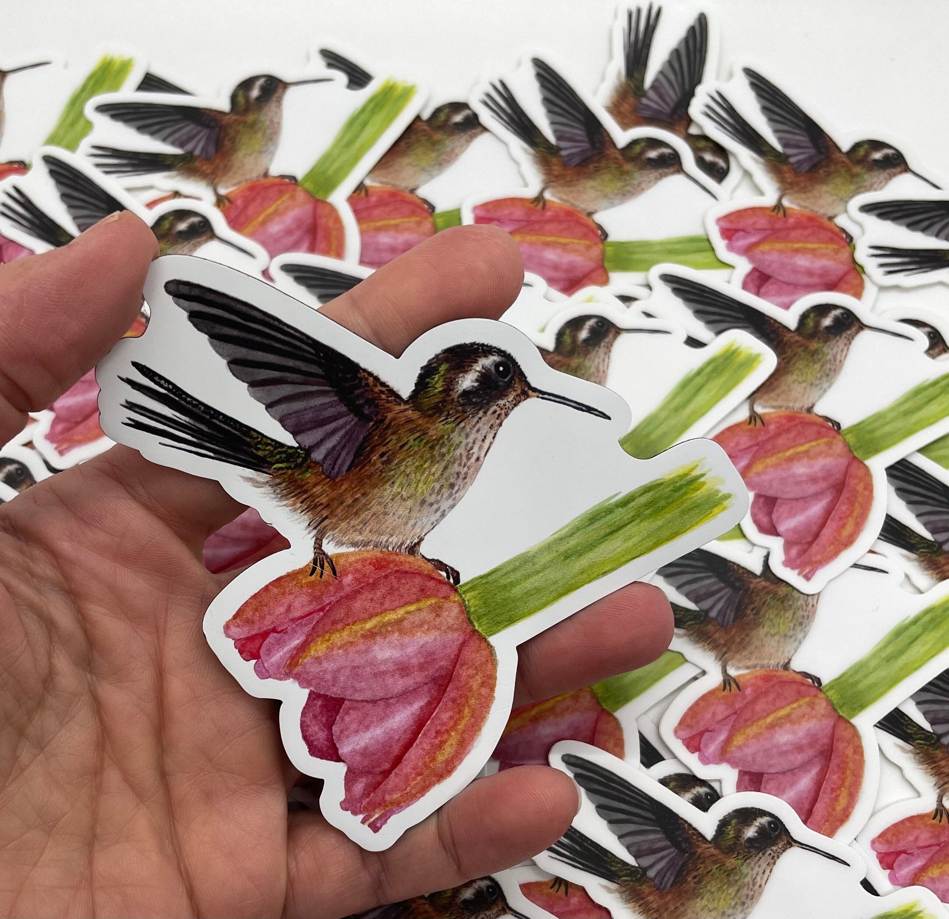 Speckled Hummingbird - Bird Art by KB