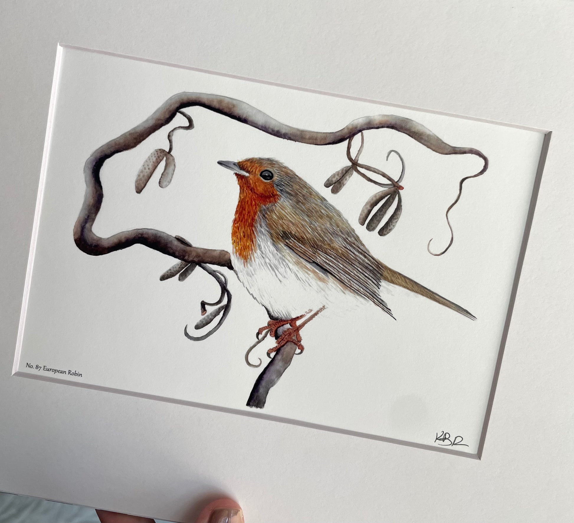 European Robin - Bird Art by KB