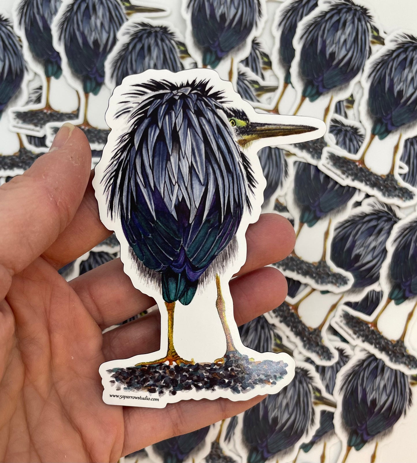Green Heron - Bird Art by KB