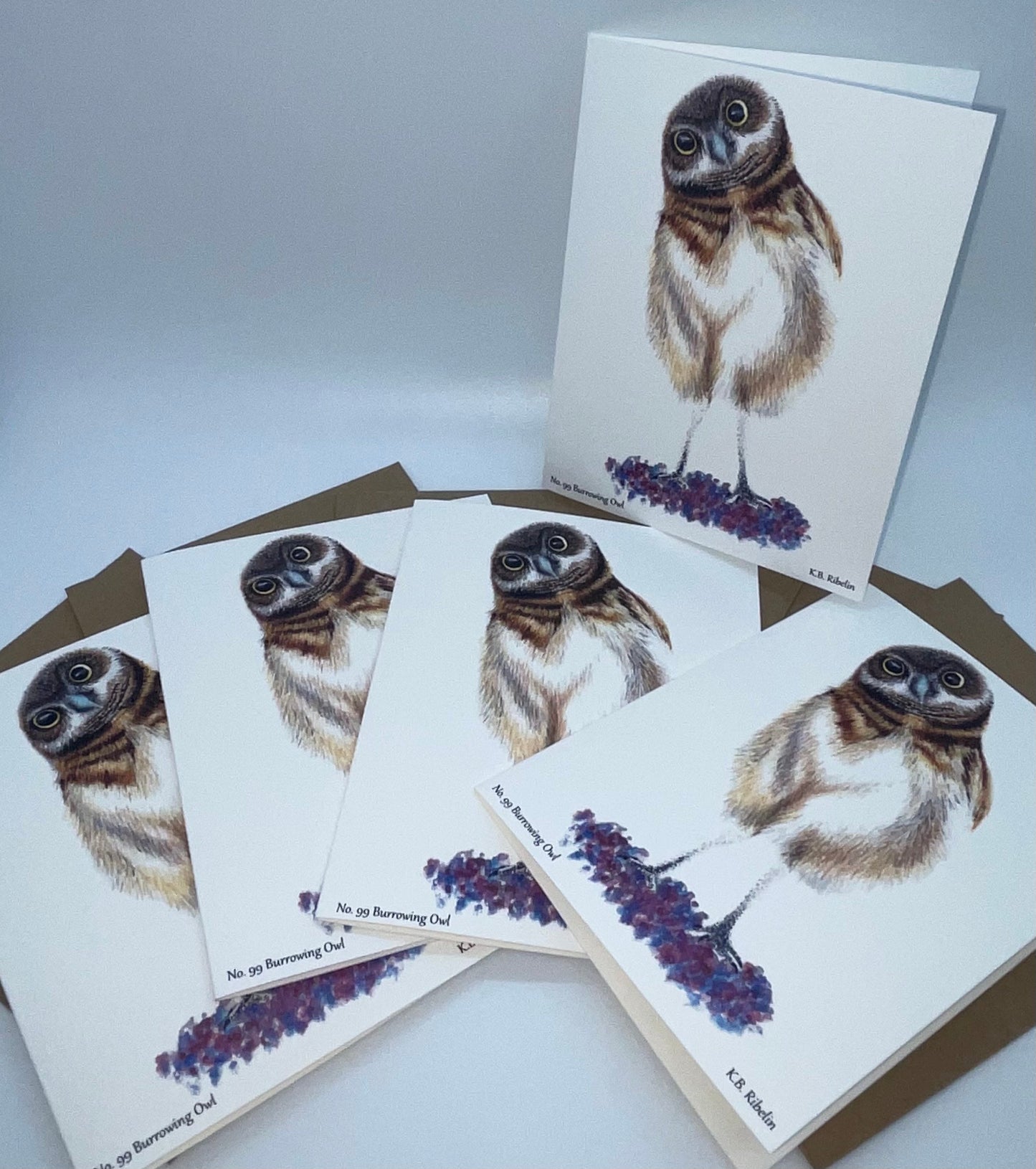 Burrowing Owl - Bird Art by KB