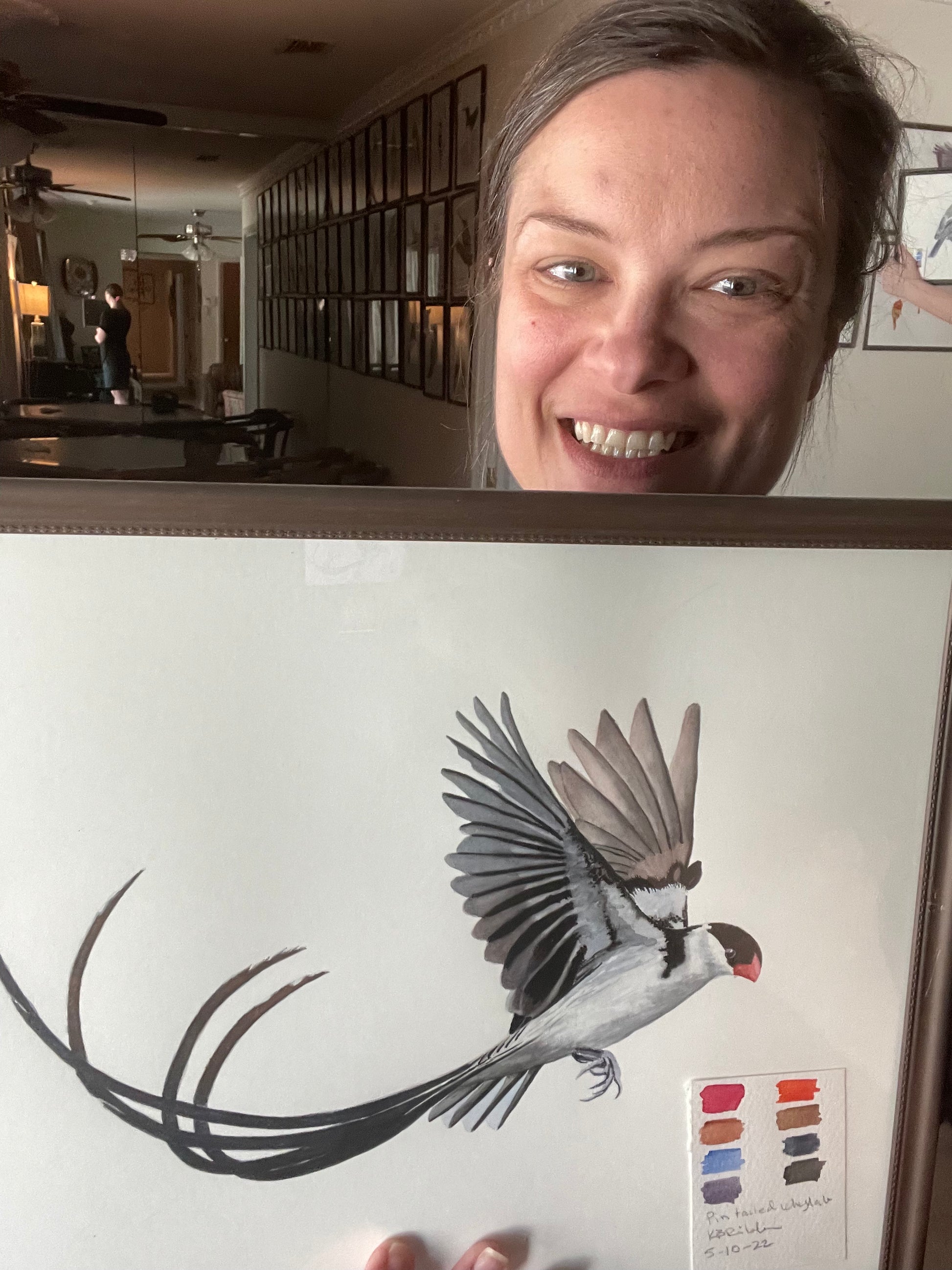 Pin-tailed Whydah - Bird Art by KB