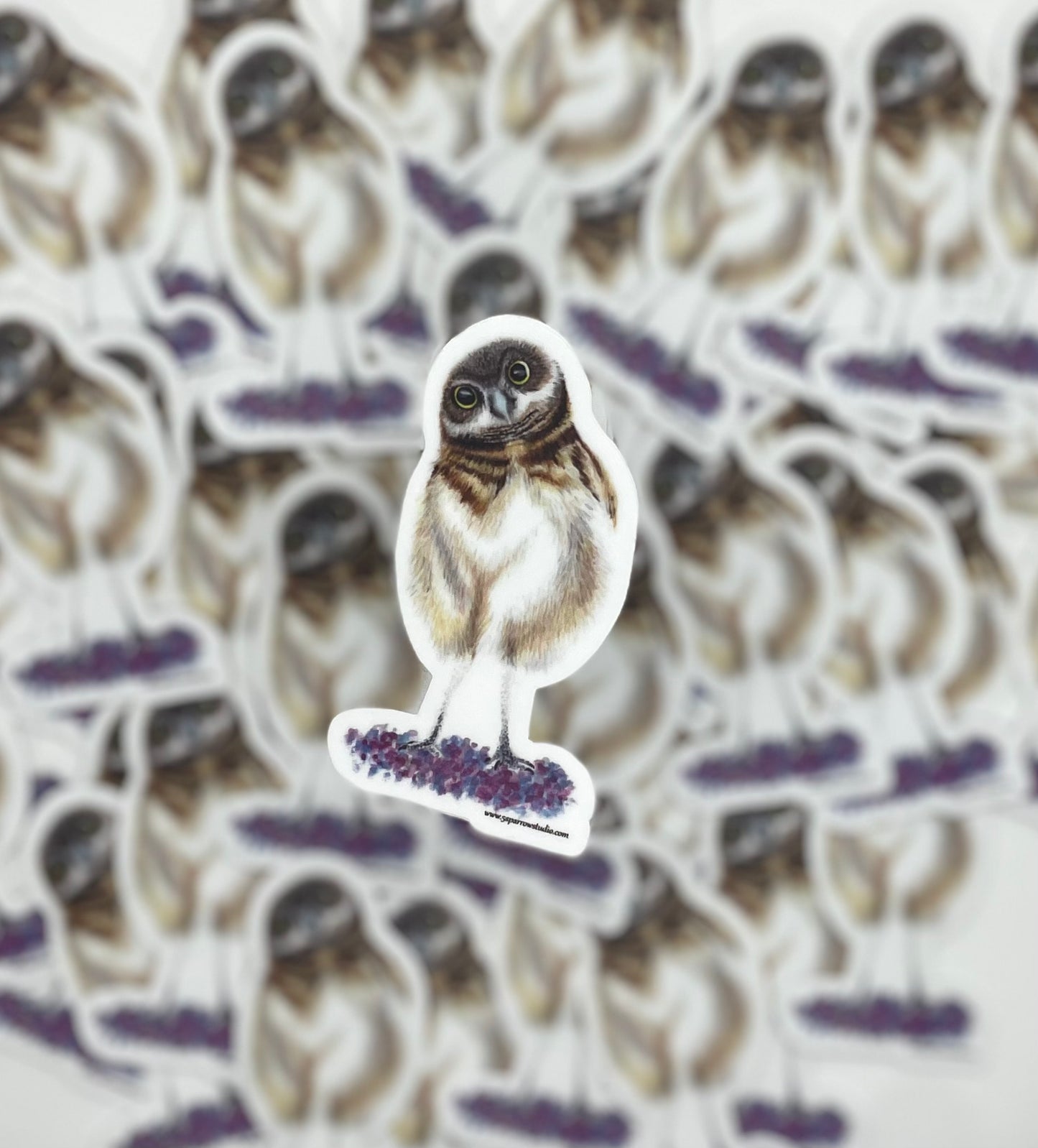 Burrowing Owl - Bird Art by KB