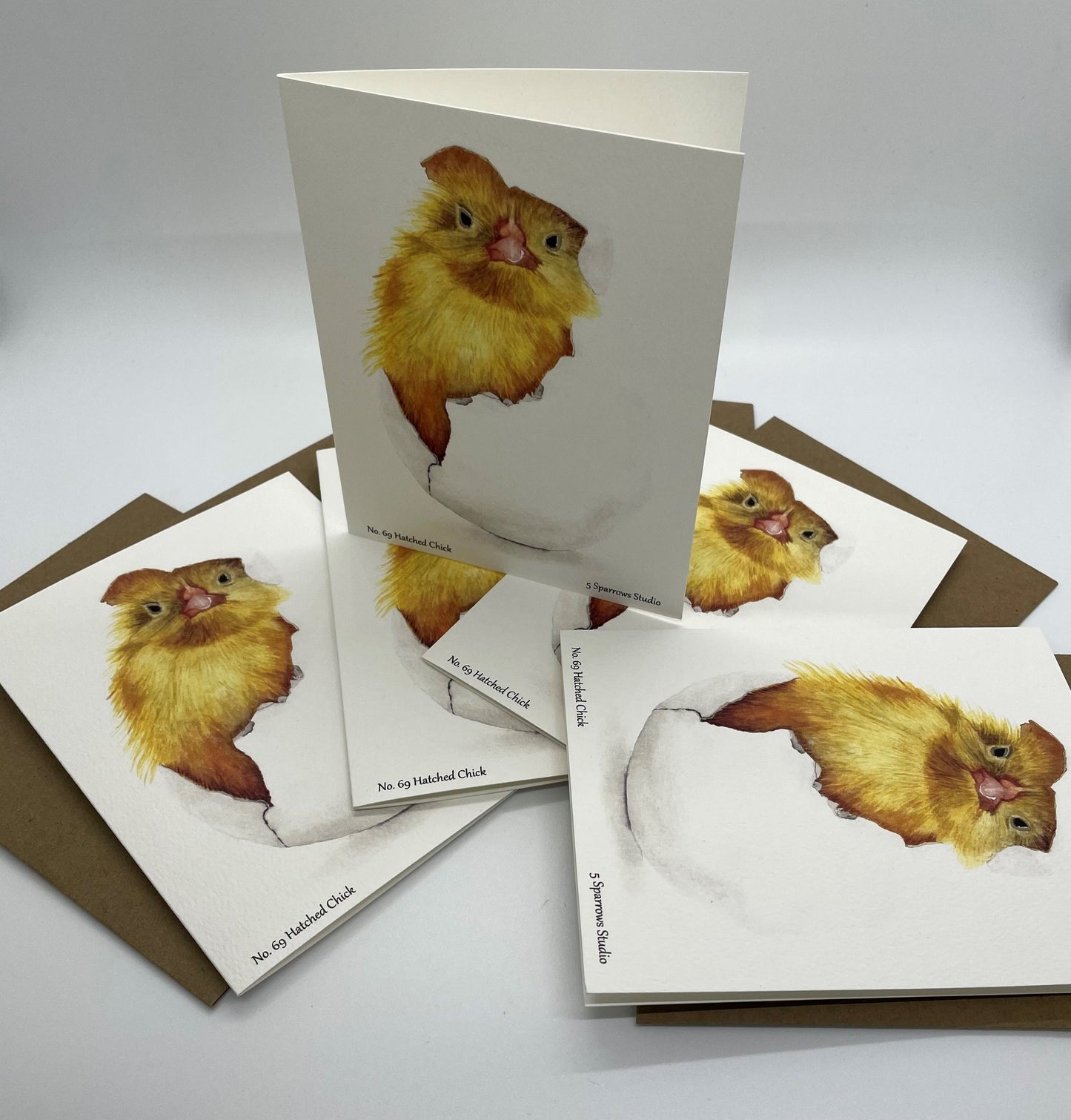 Chick (Hatched) - Bird Art by KB