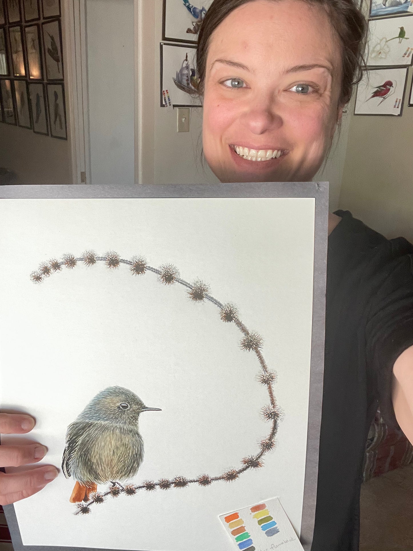 Black Redstart - Bird Art by KB
