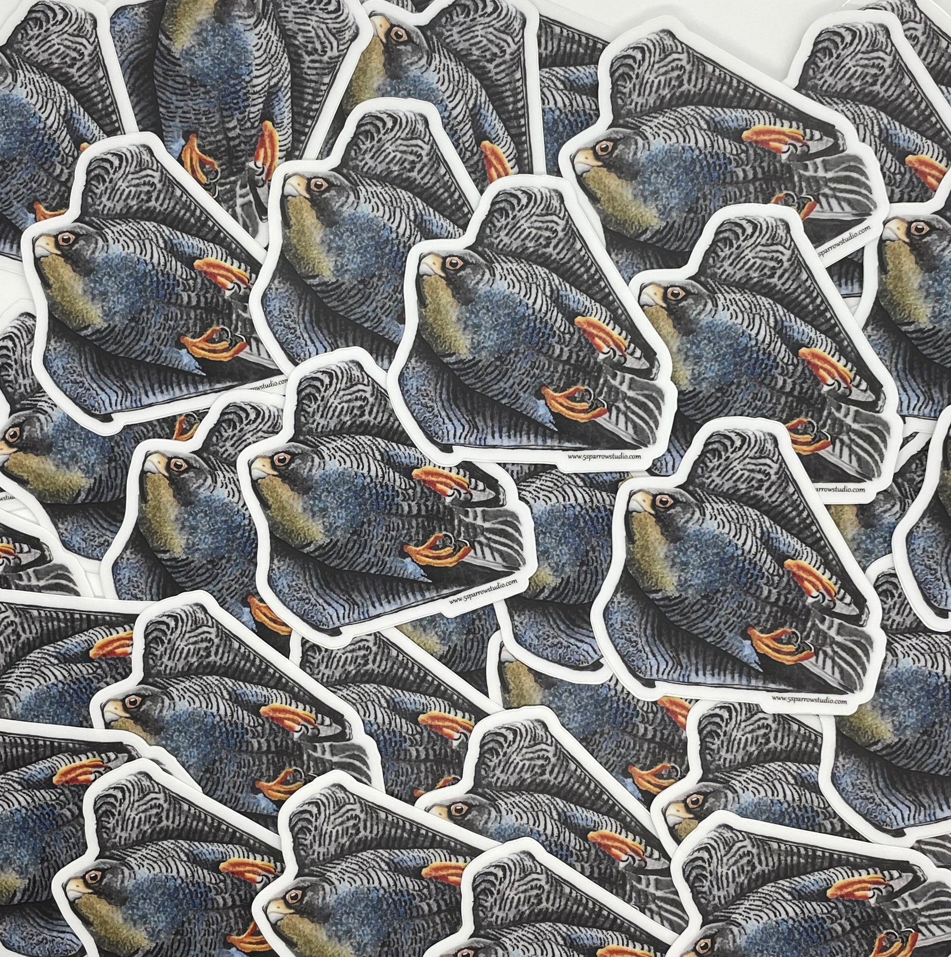 Peregrine Falcon - Bird Art by KB
