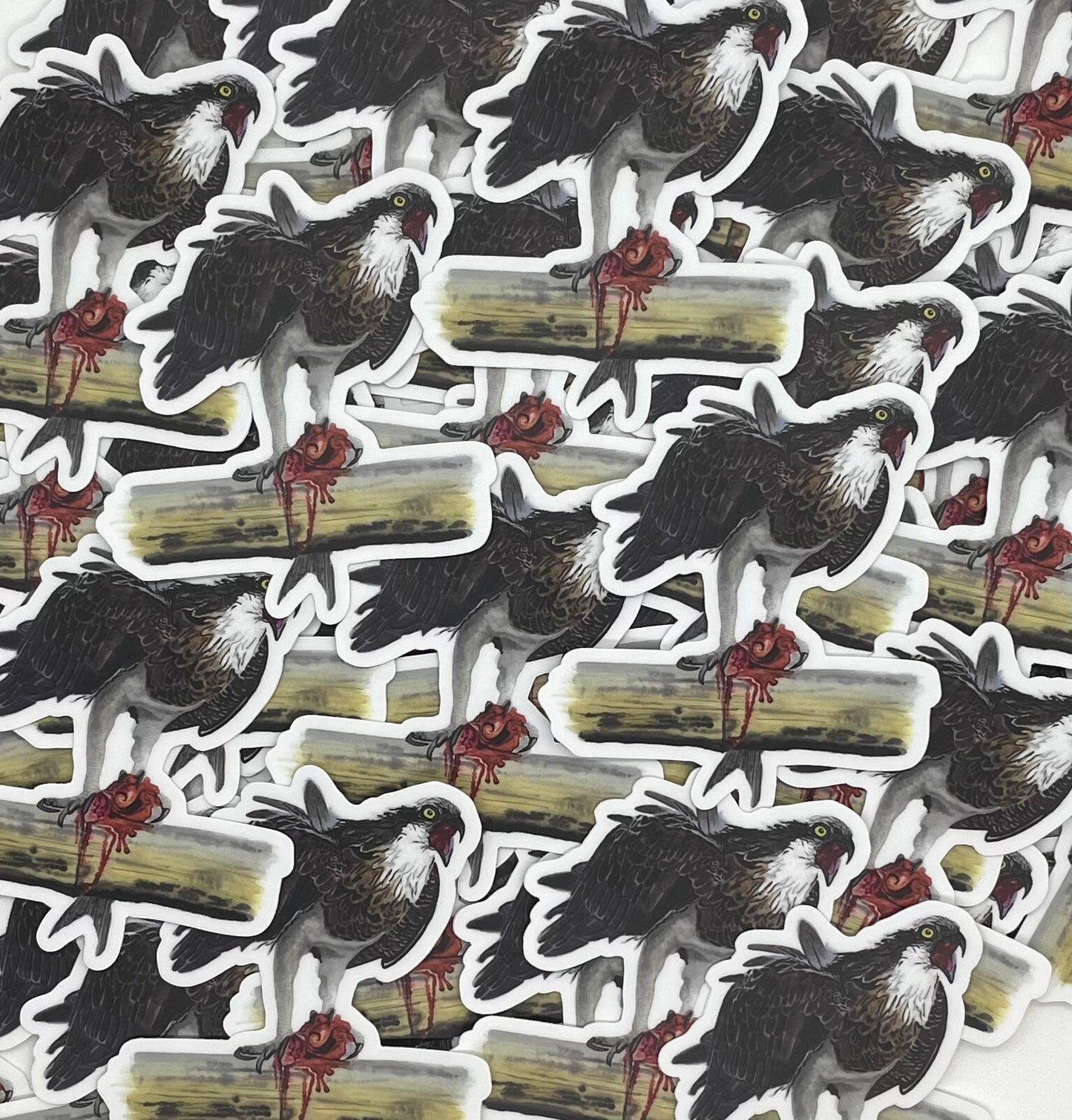 Osprey - Bird Art by KB
